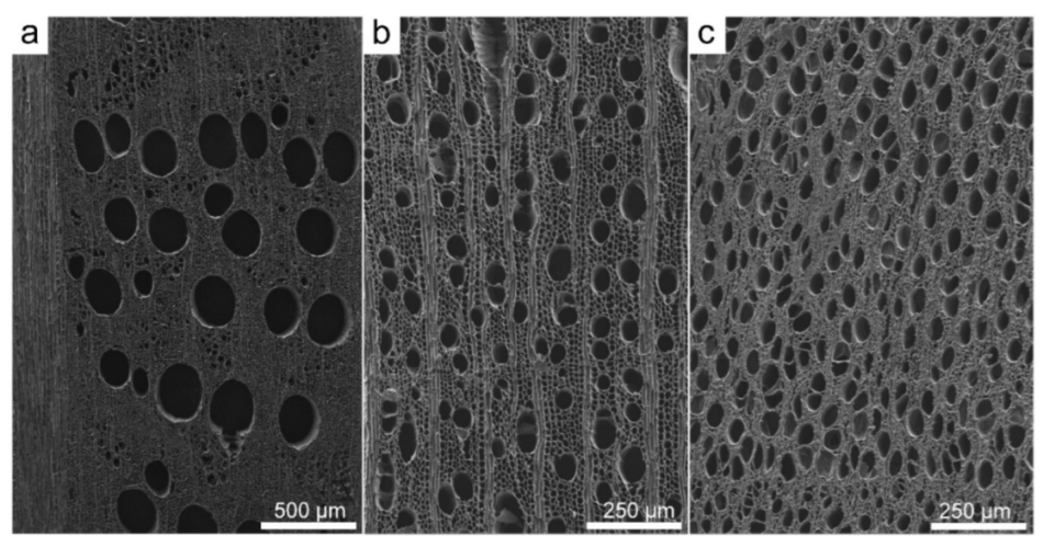 Forests 13 00161 g002