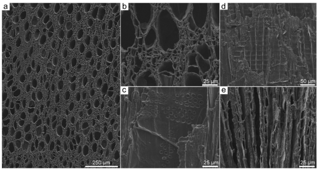 Forests 13 00161 g007