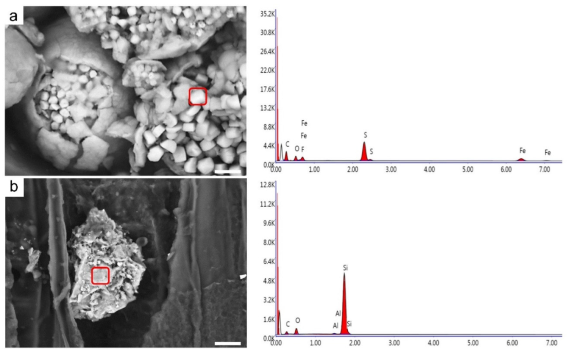Forests 13 00161 g010