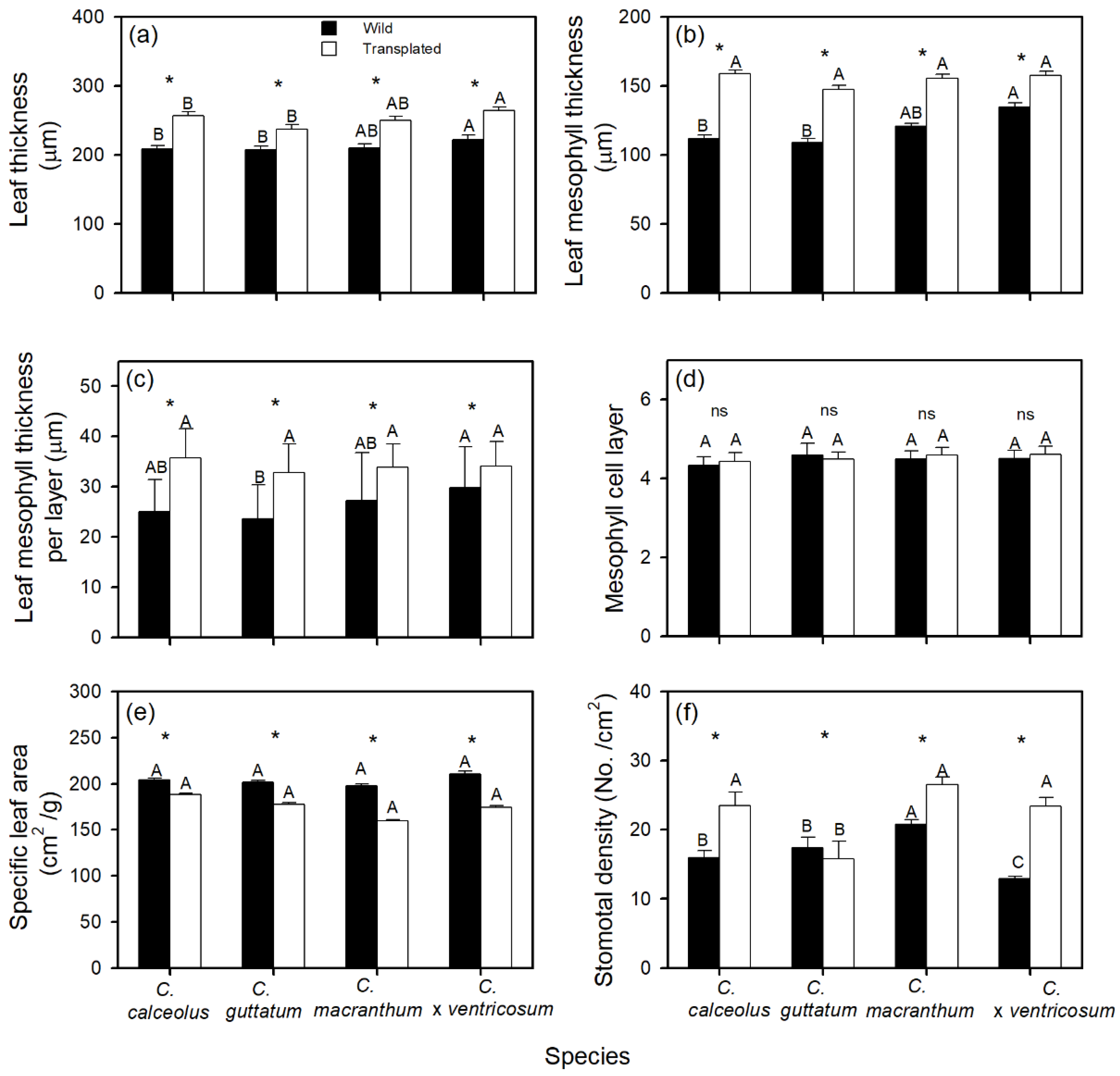 Forests 13 00166 g002