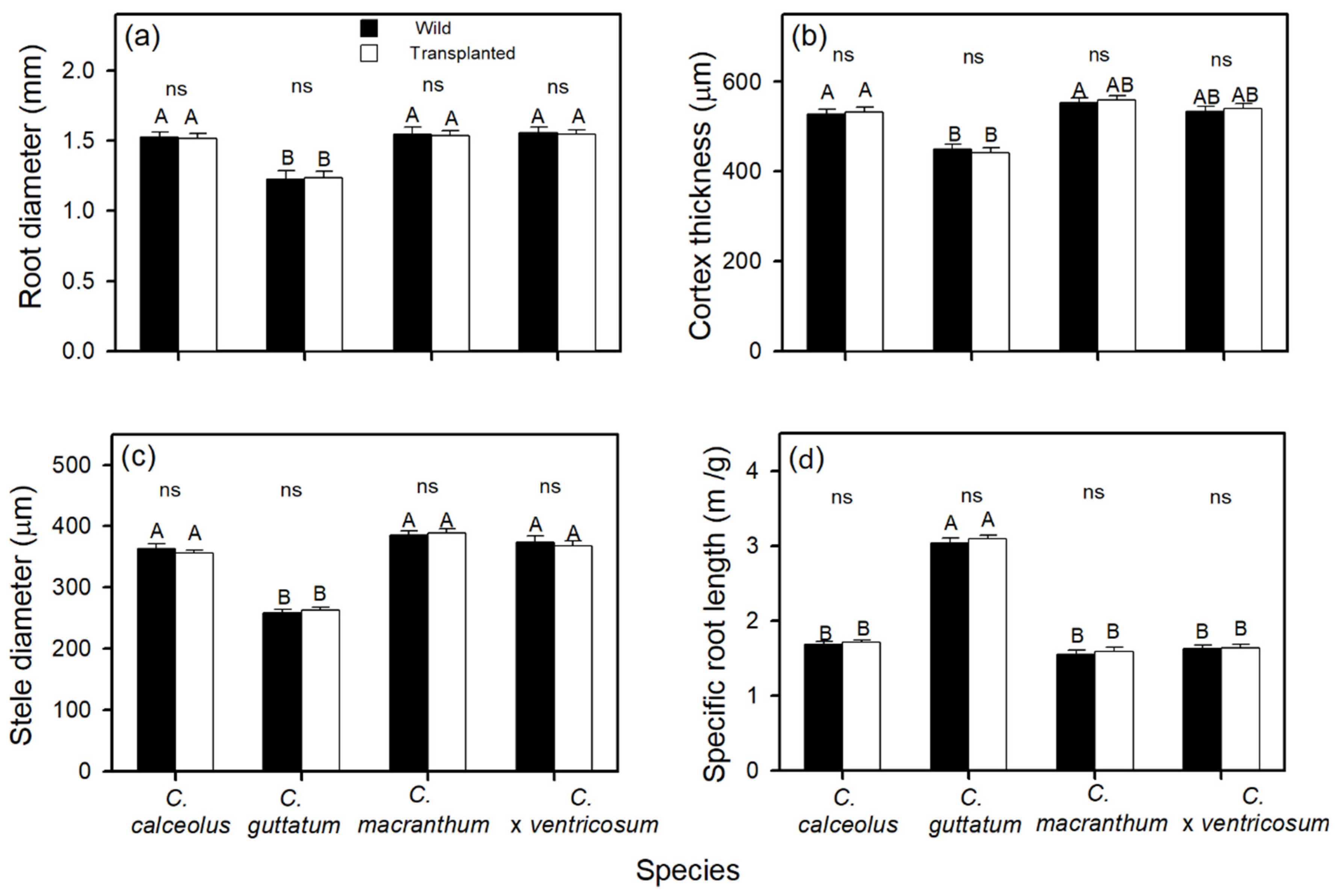 Forests 13 00166 g003