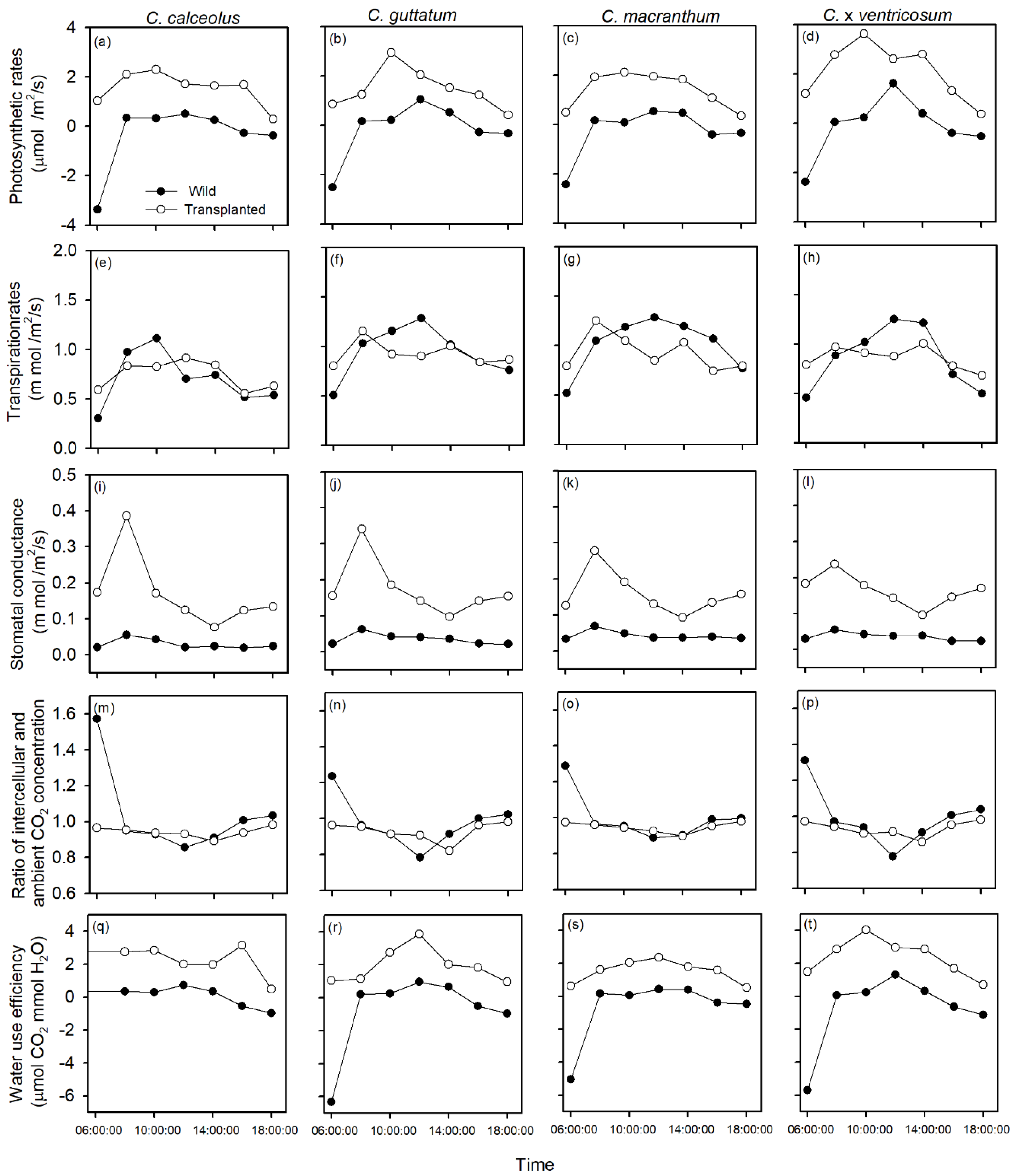 Forests 13 00166 g004