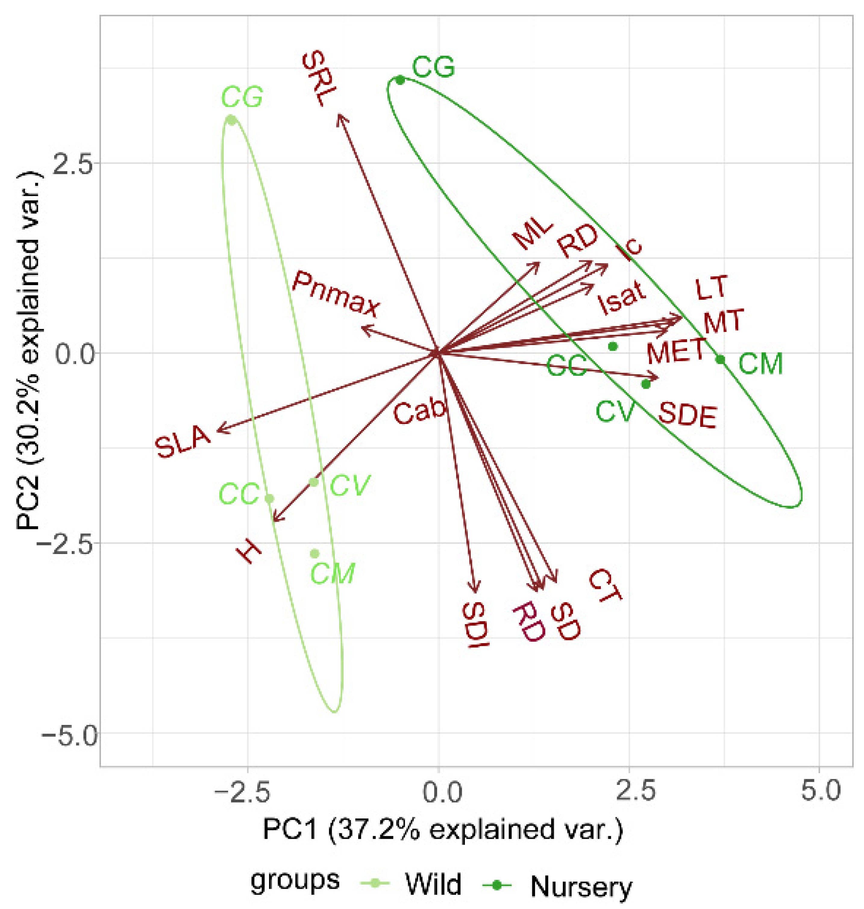 Forests 13 00166 g006