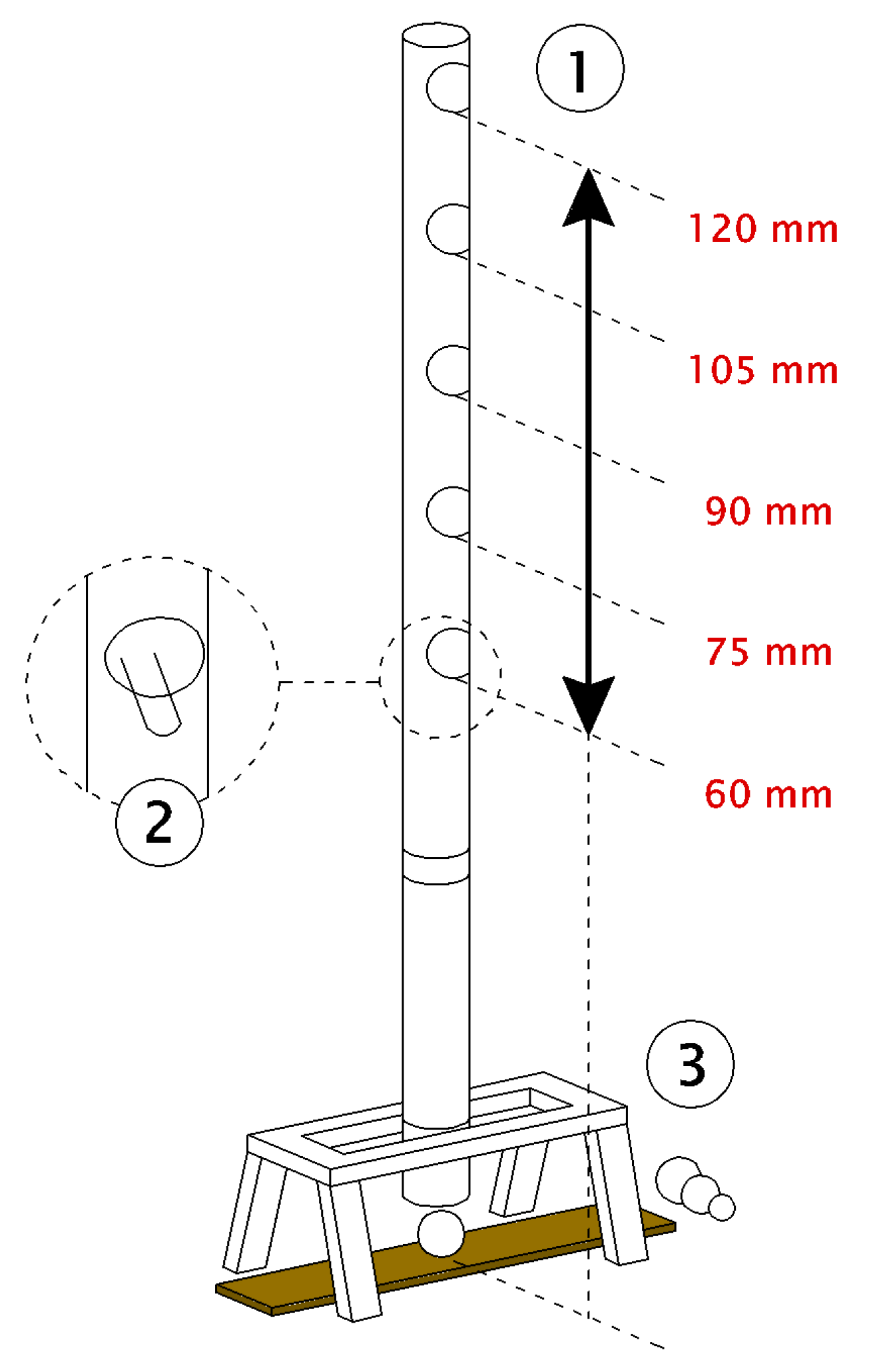 Forests 13 00167 g002