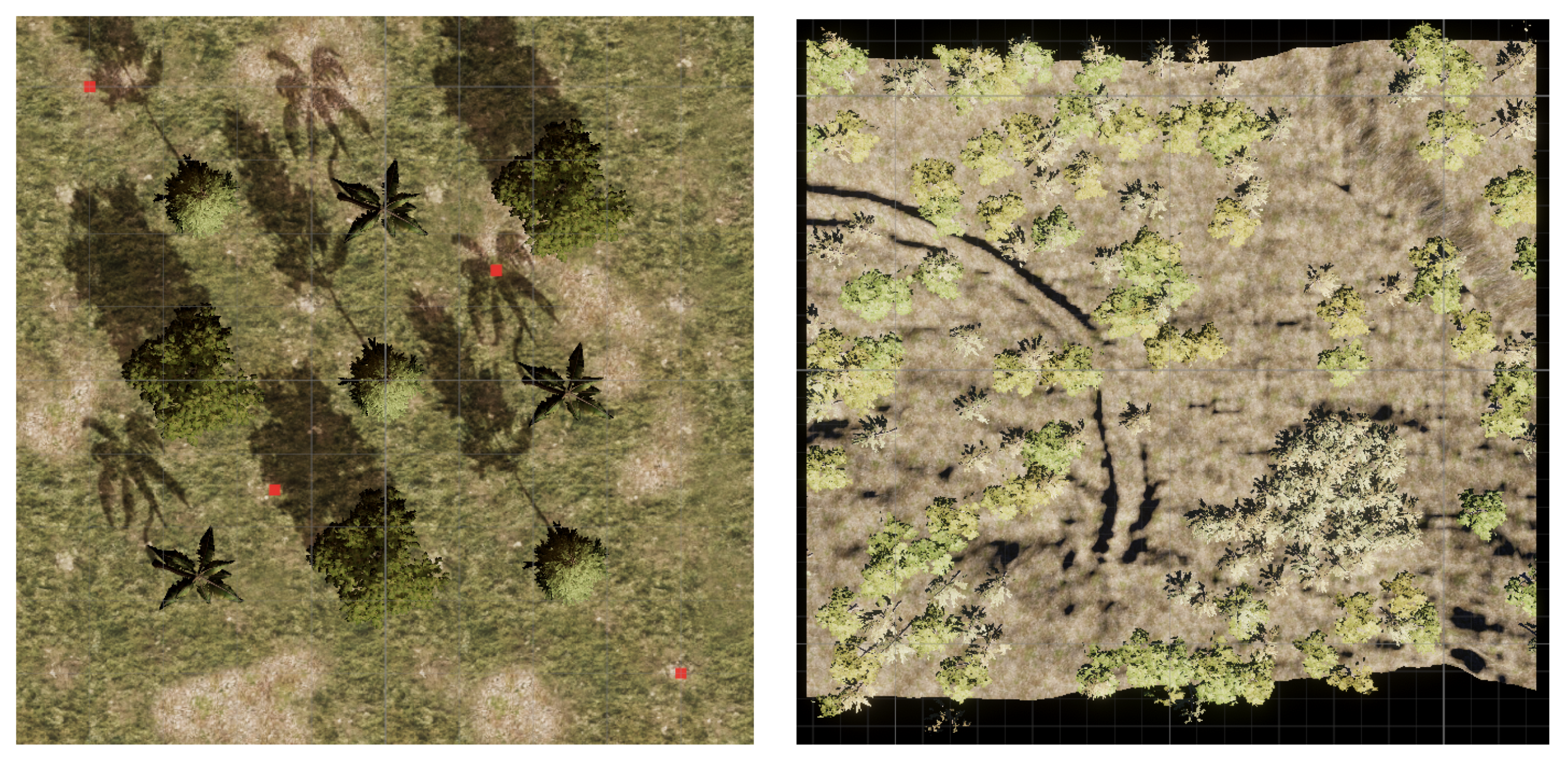 Forests 13 00173 g003