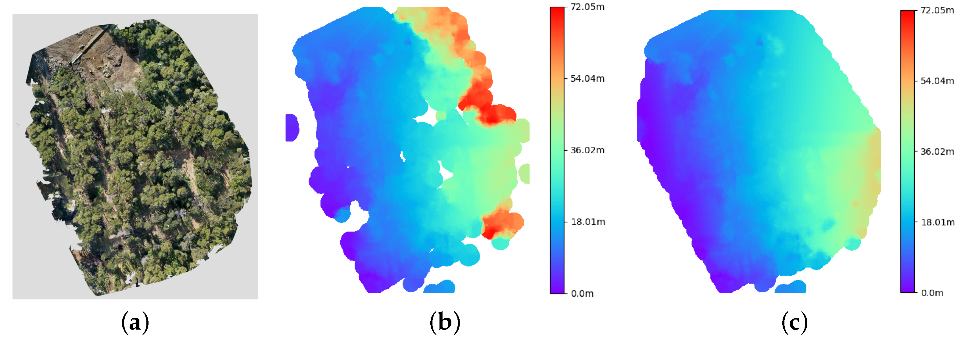 Forests 13 00173 g014