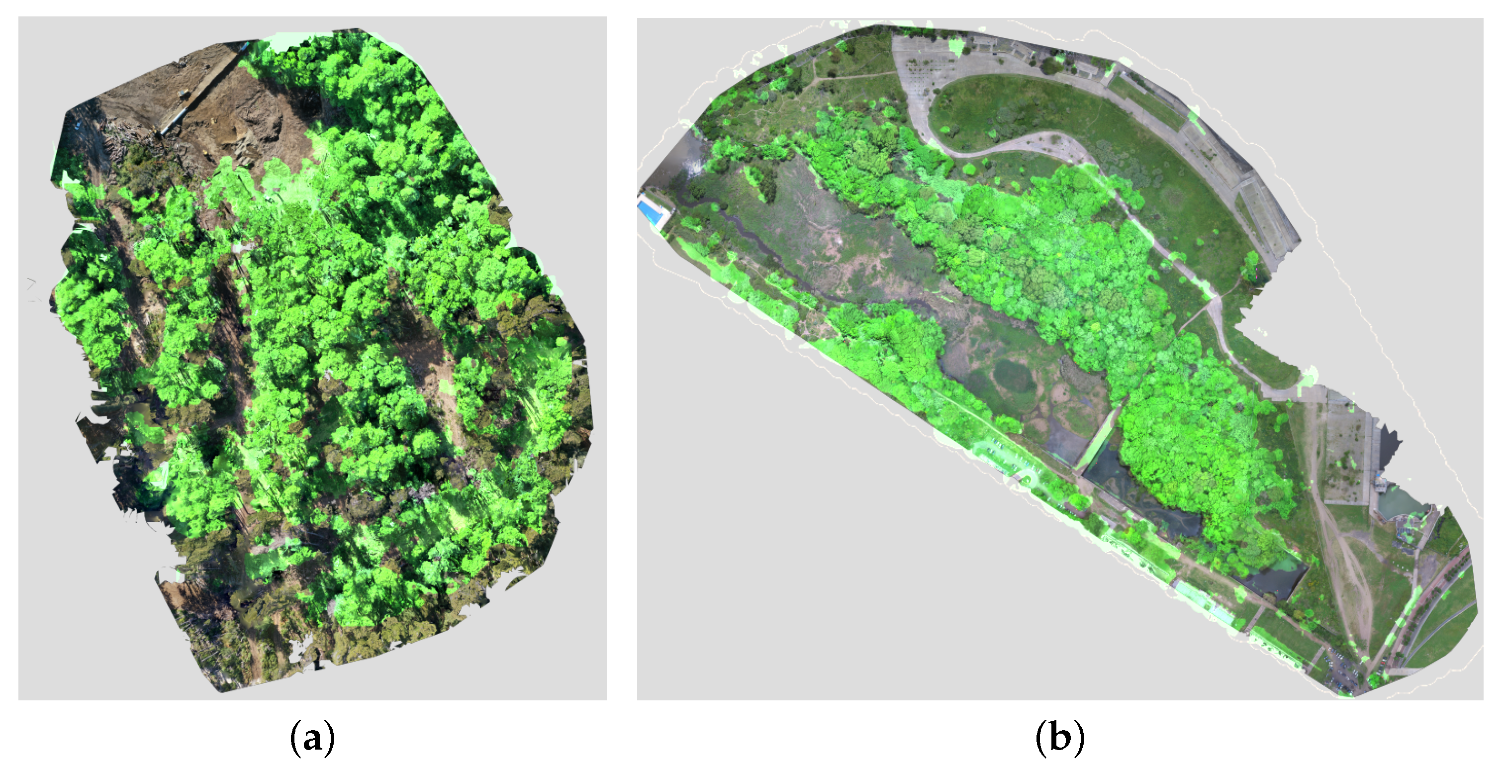 Forests 13 00173 g017