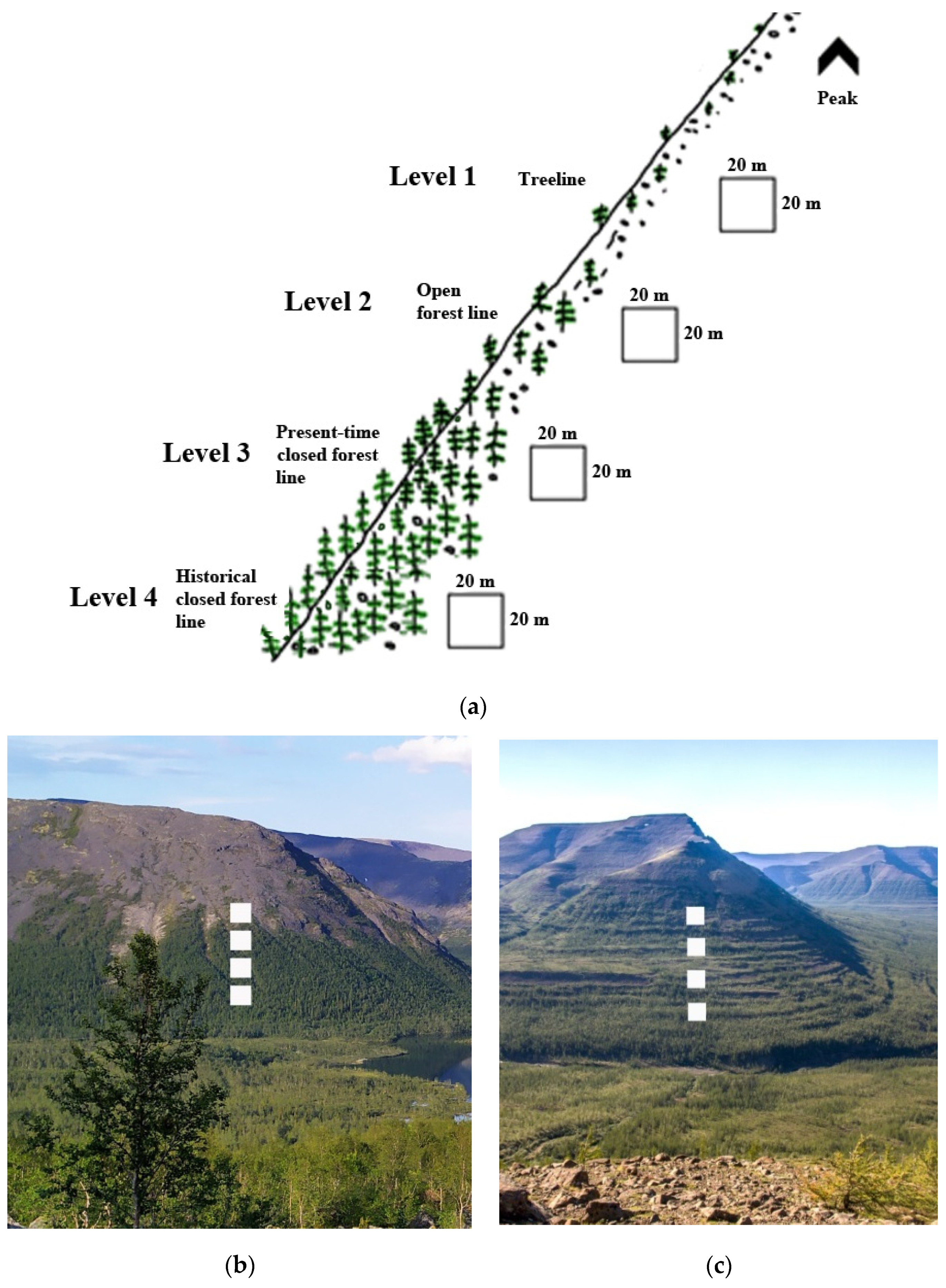 Forests 13 00174 g003