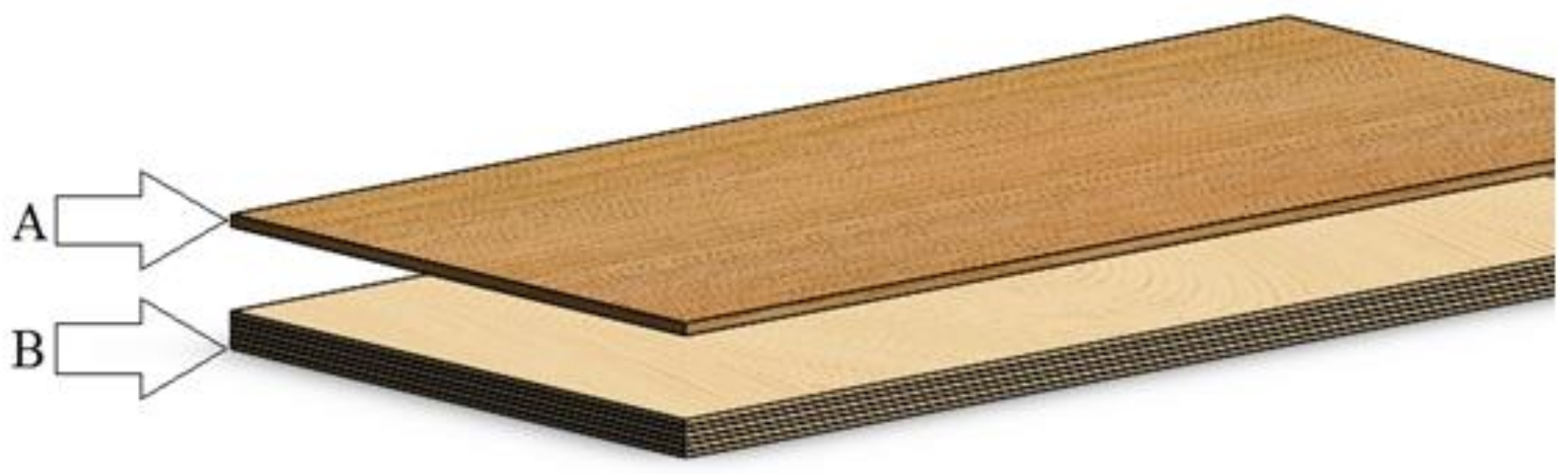 Forests 13 00175 g001