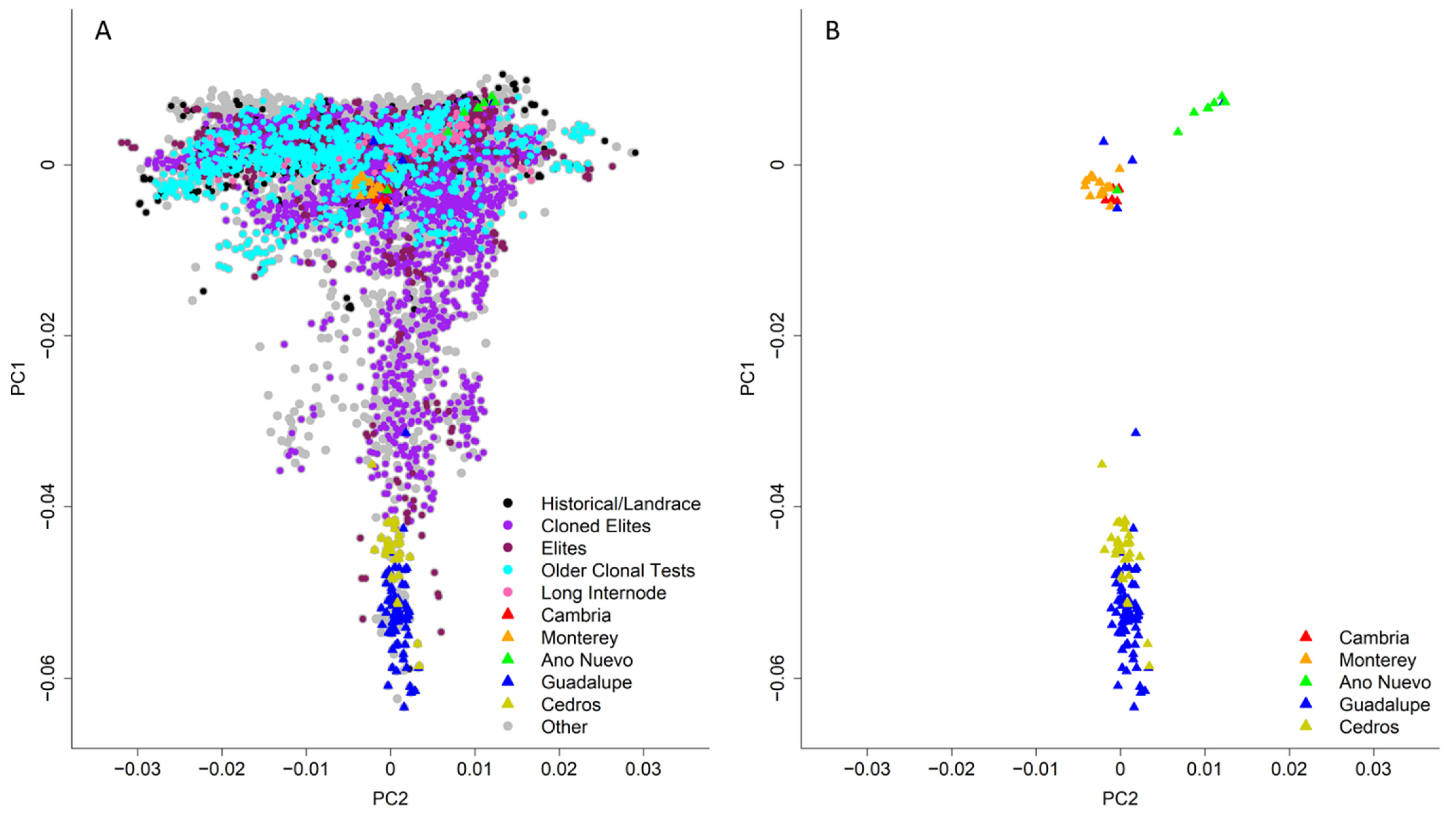 Forests 13 00176 g003