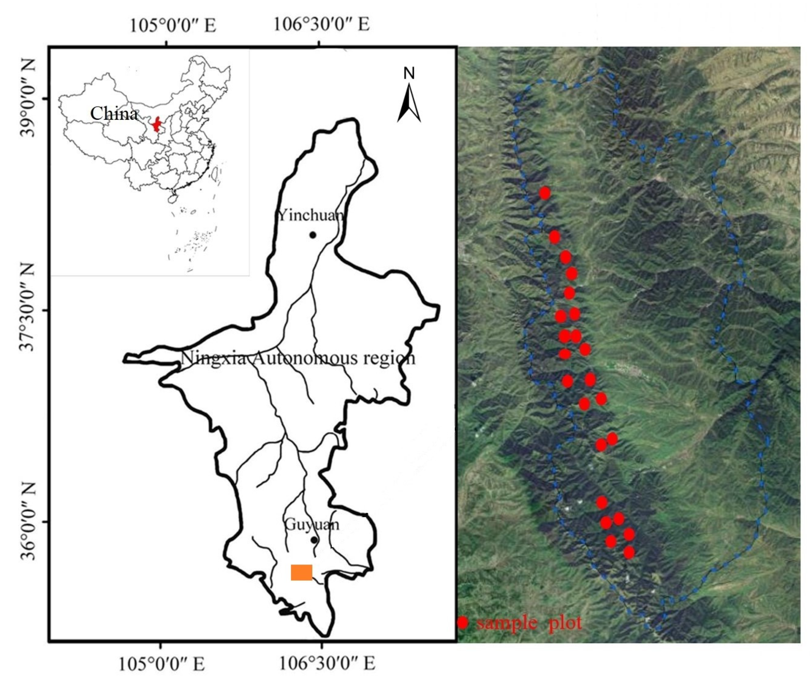 Forests 13 00177 g001
