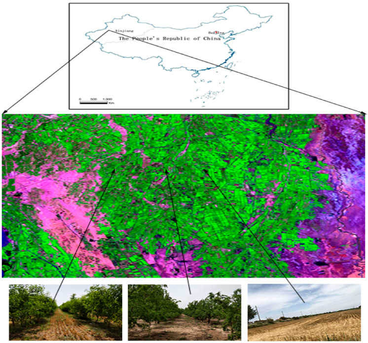 Forests 13 00181 g001