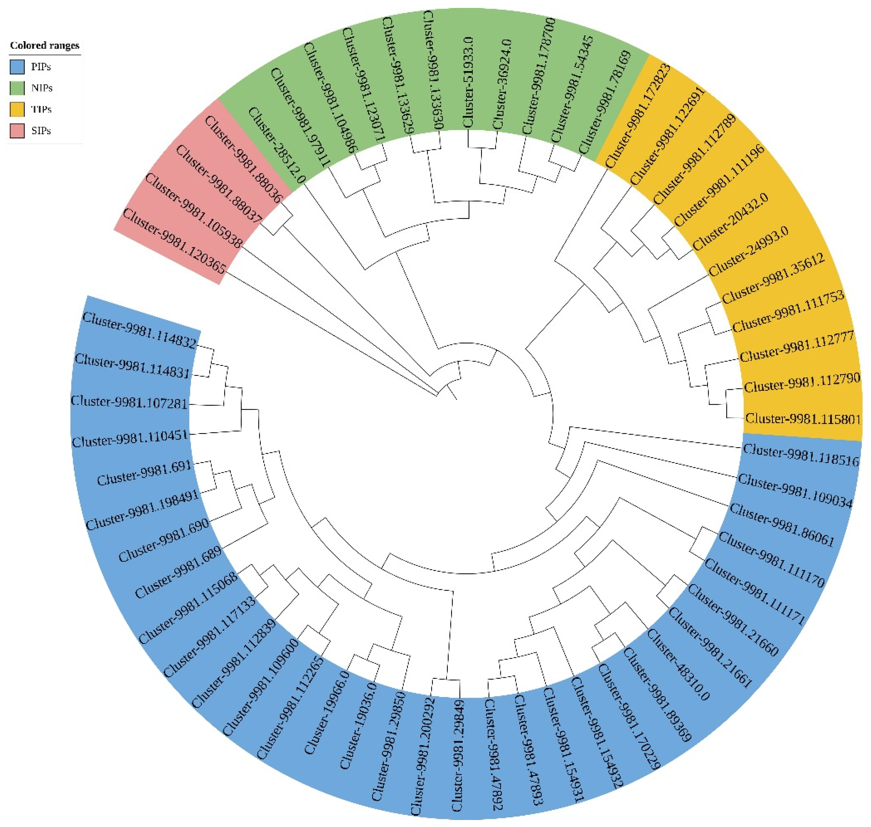Forests 13 00182 g002