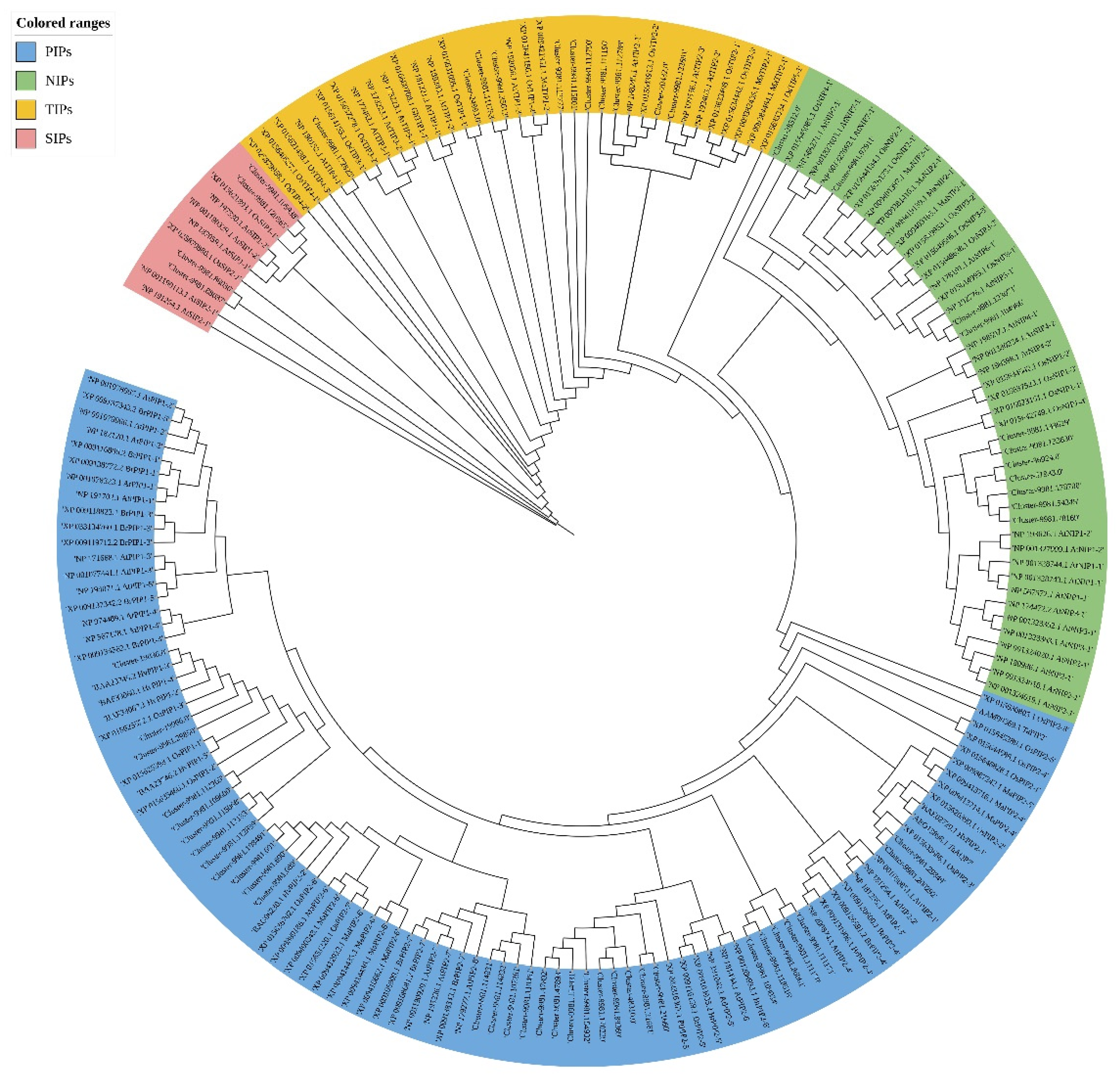 Forests 13 00182 g003