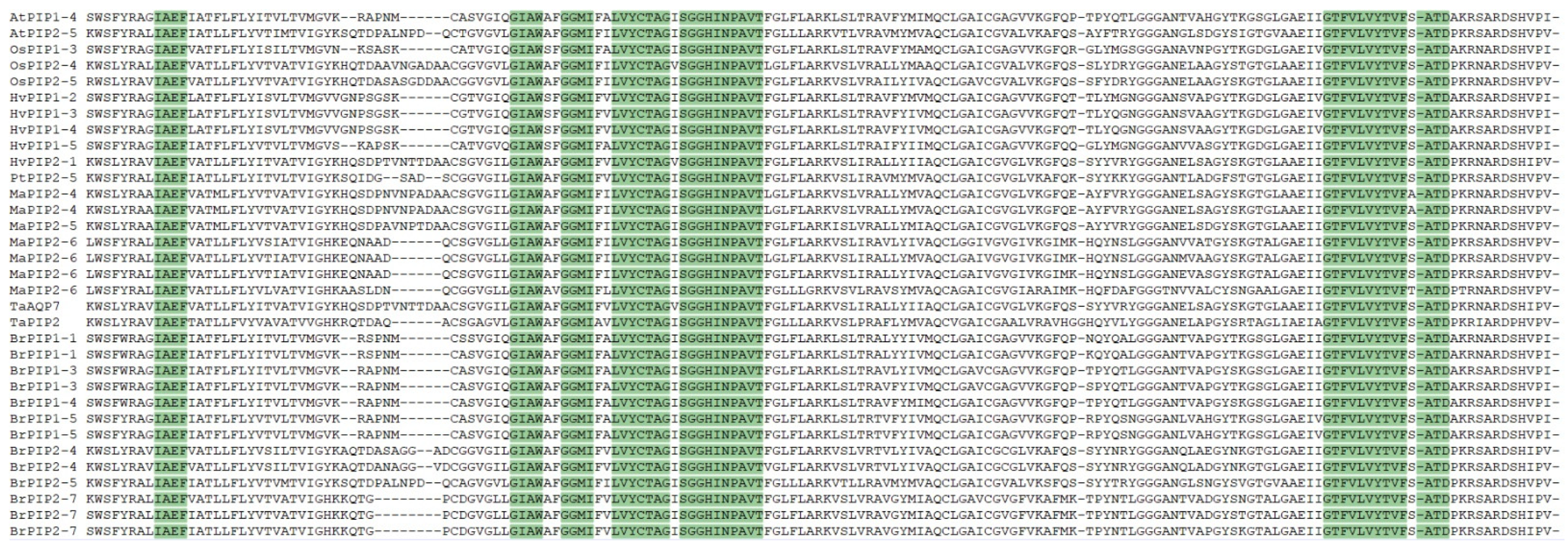 Forests 13 00182 g005