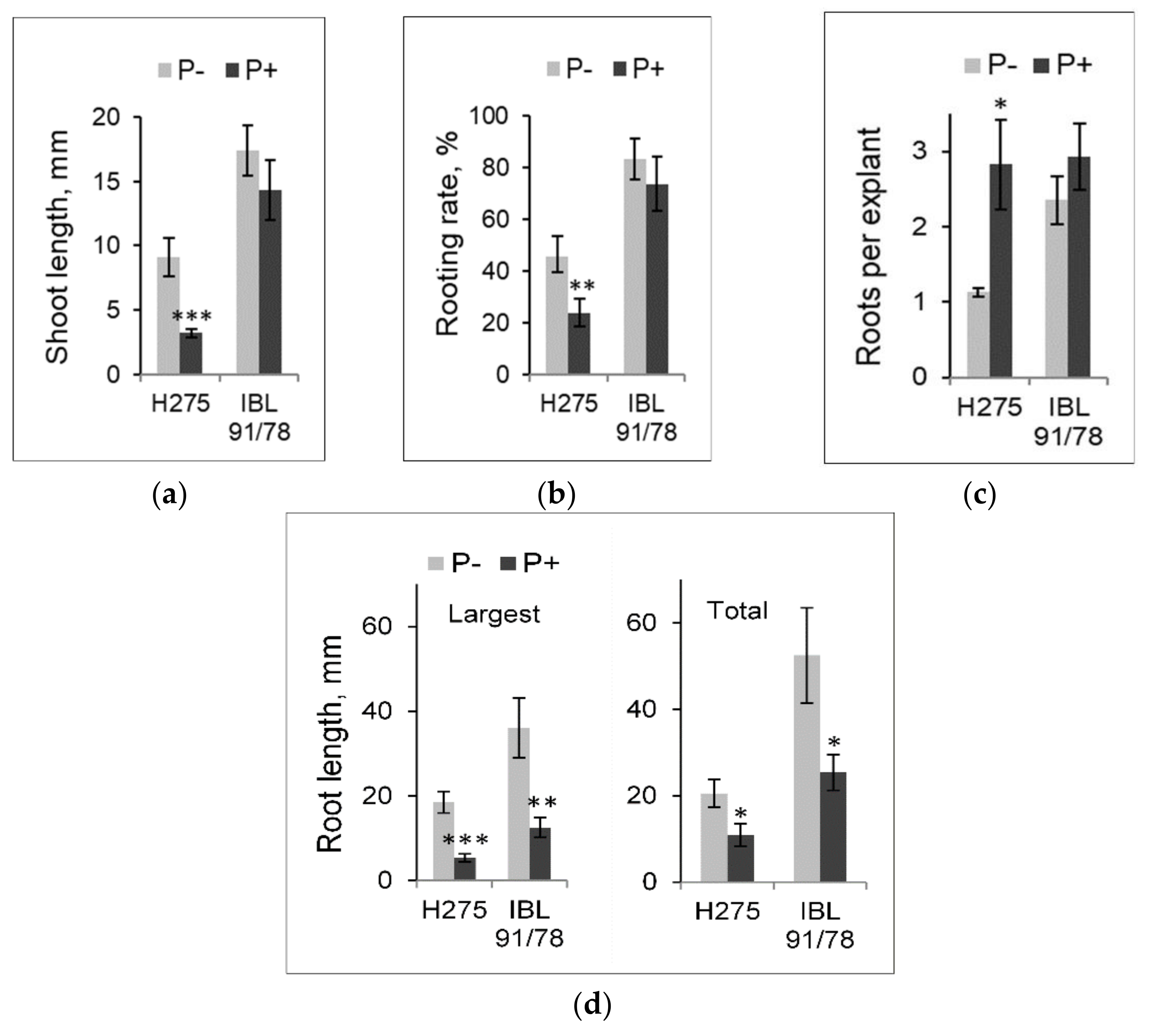 Forests 13 00183 g002