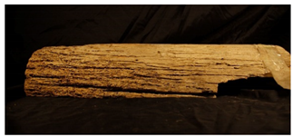 Forests 13 00190 i001