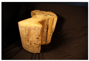 Forests 13 00190 i004