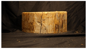 Forests 13 00190 i006