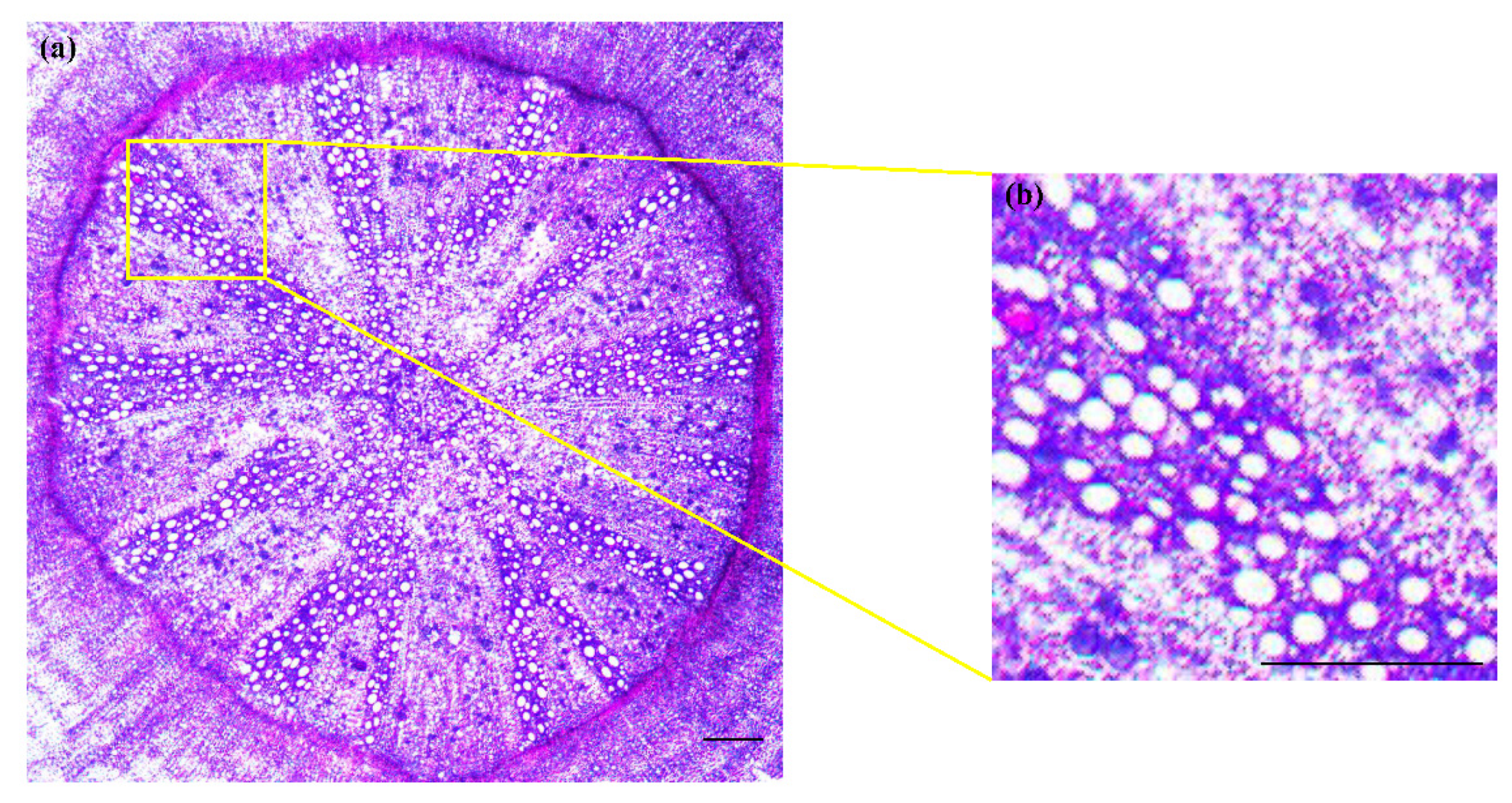 Forests 13 00193 g002