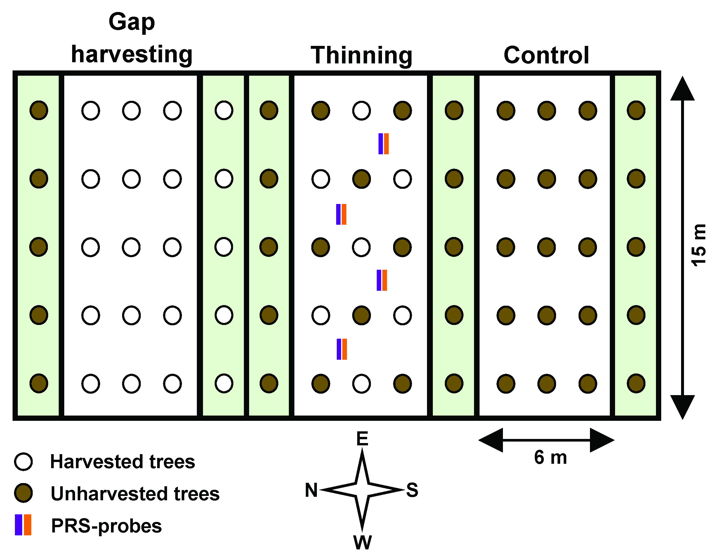 Forests 13 00194 g002