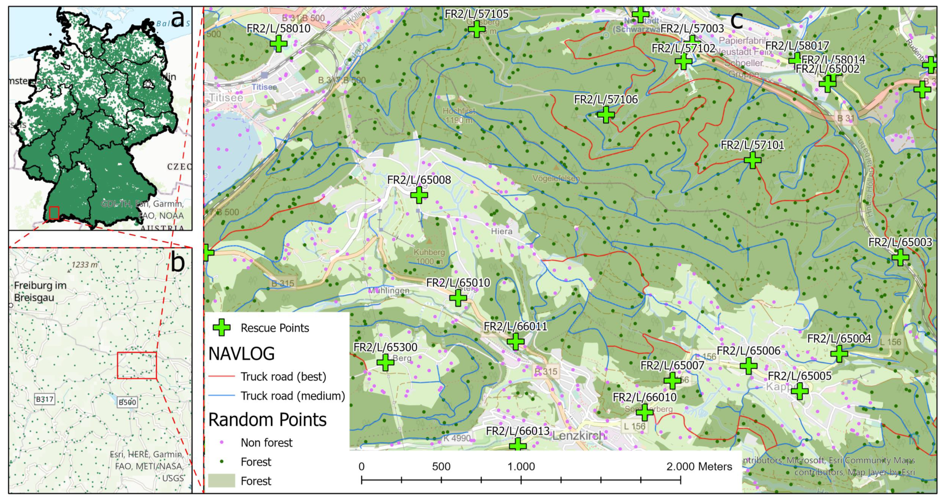 Forests 13 00197 g003 Forests 13 00197 g003