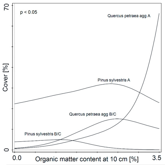 Forests 13 00198 g004