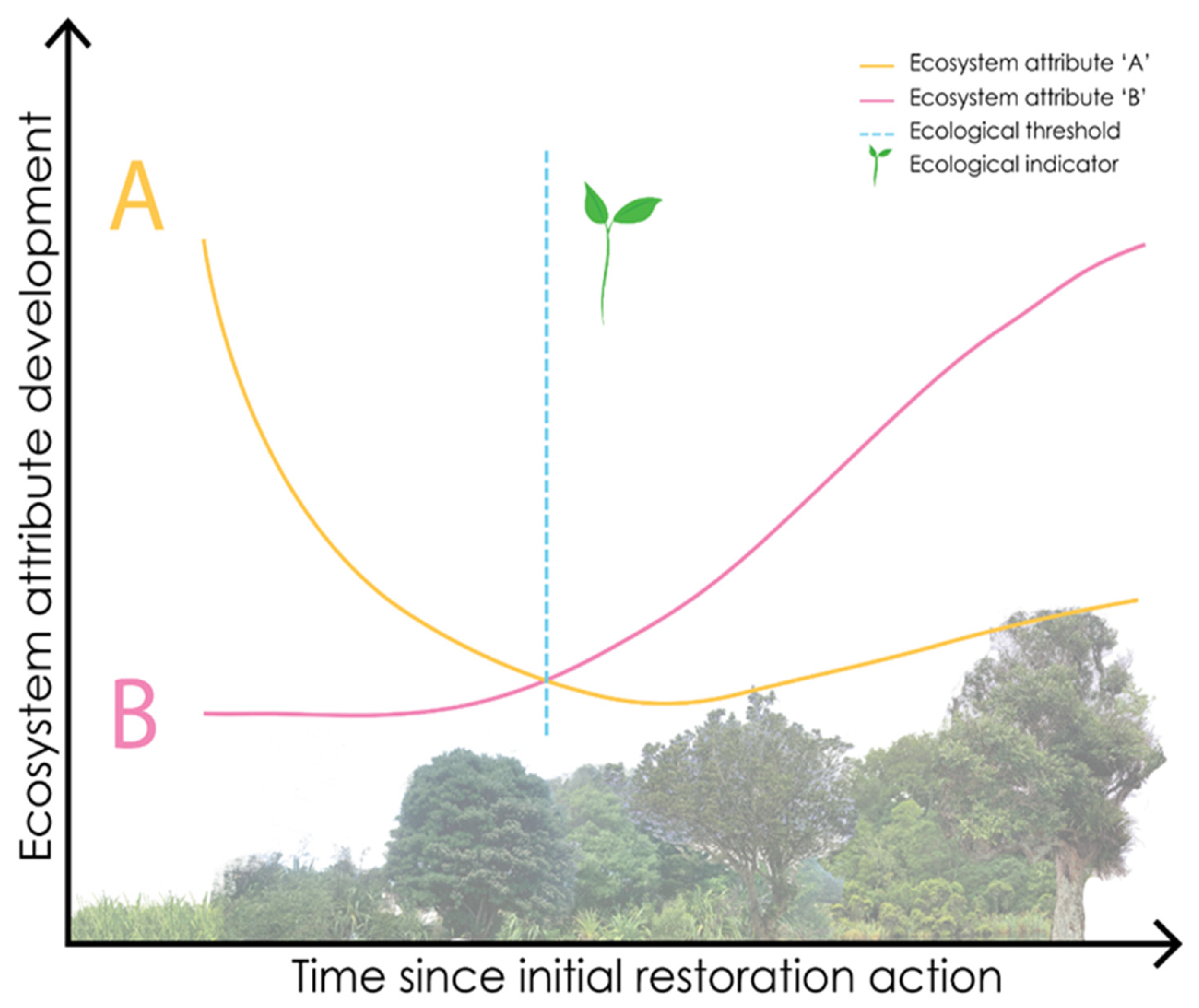 Forests 13 00199 g001