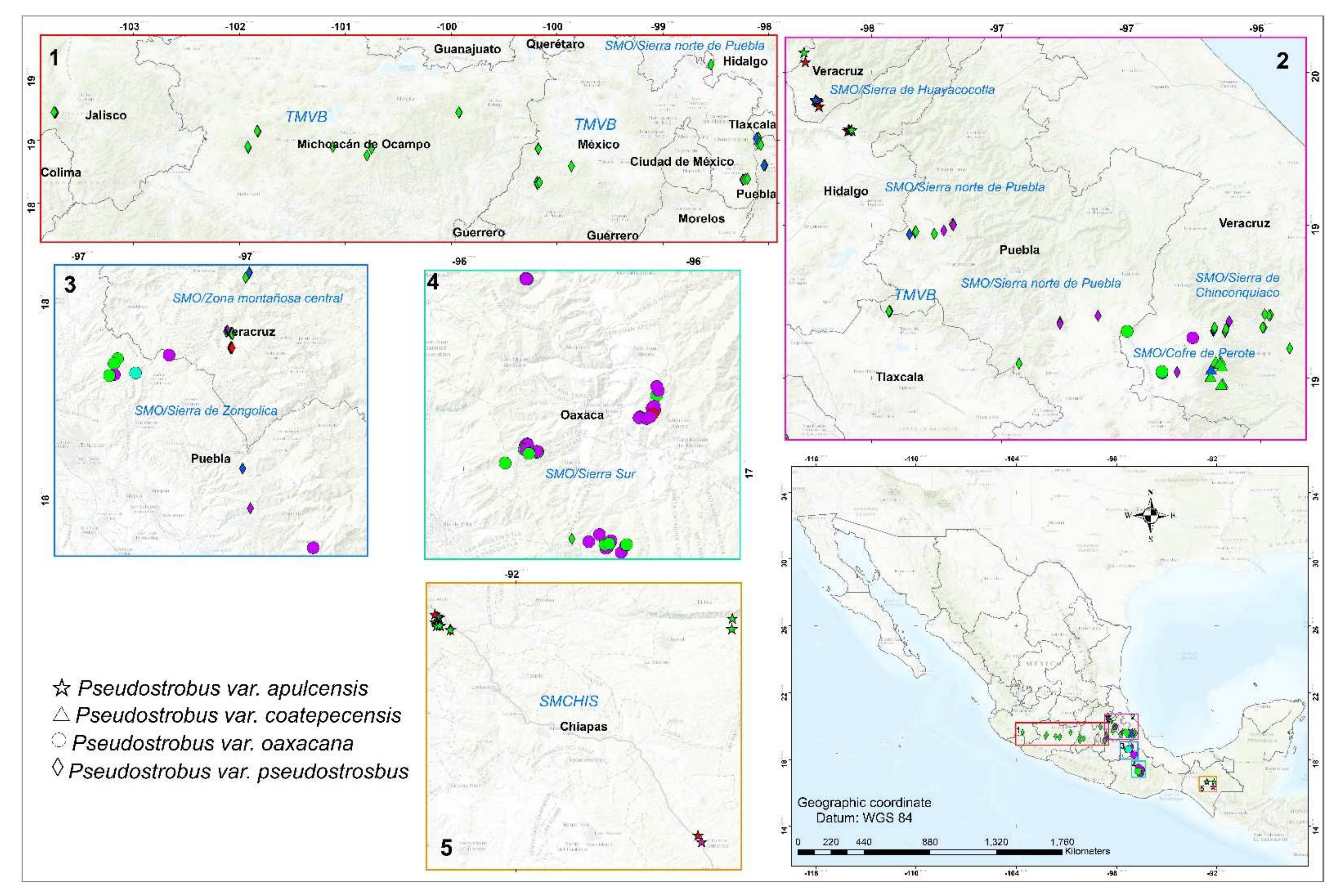Forests 13 00200 g001