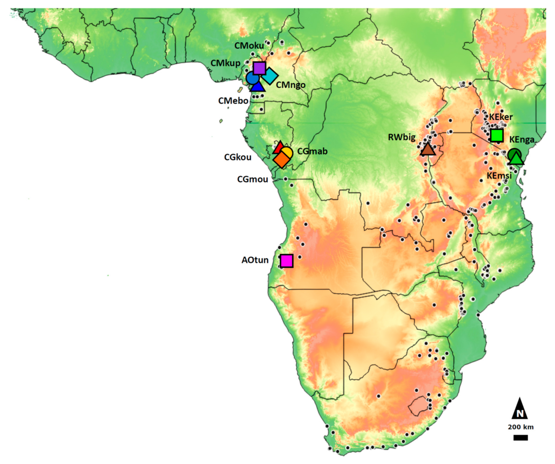 Forests 13 00208 g001