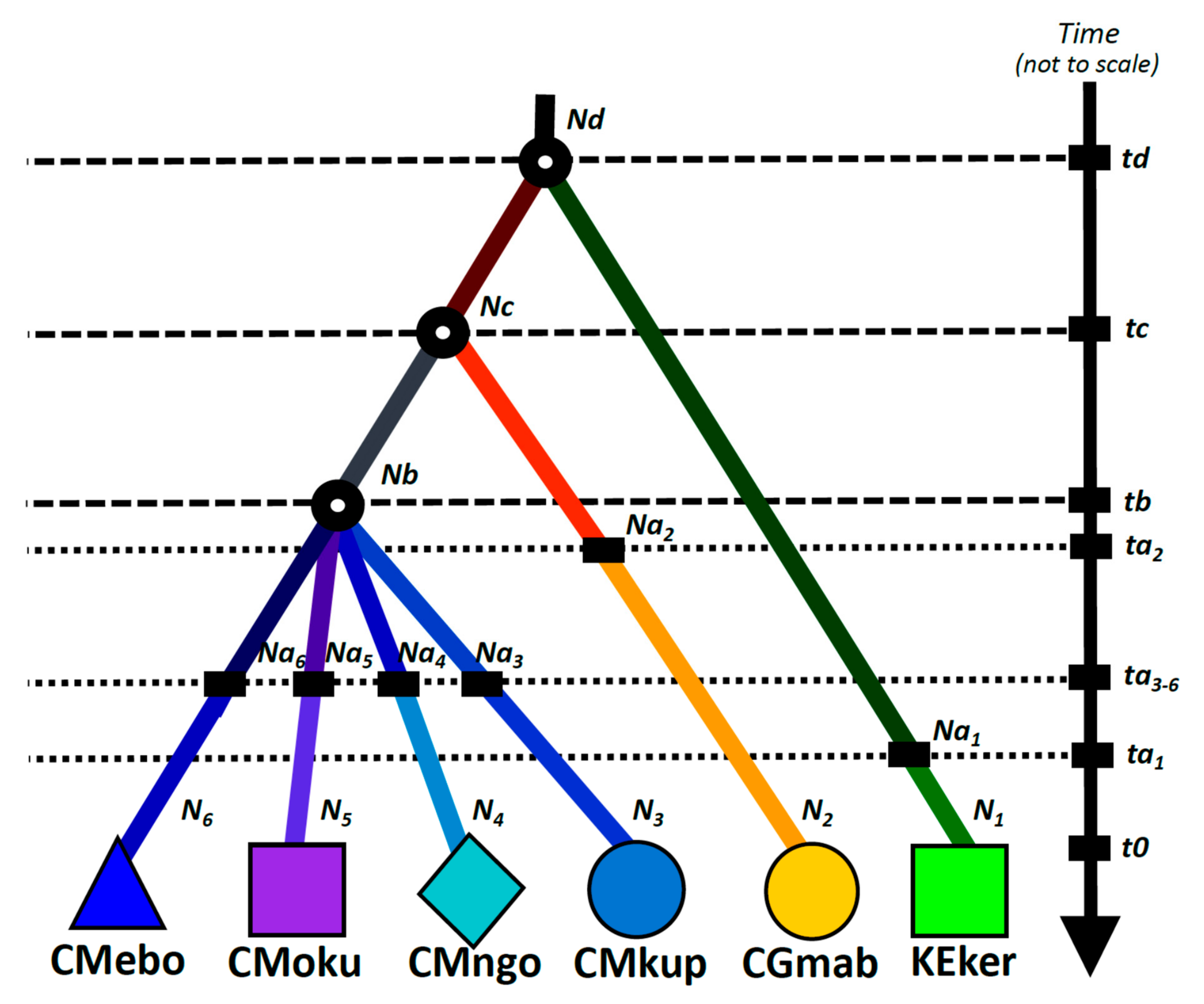 Forests 13 00208 g005