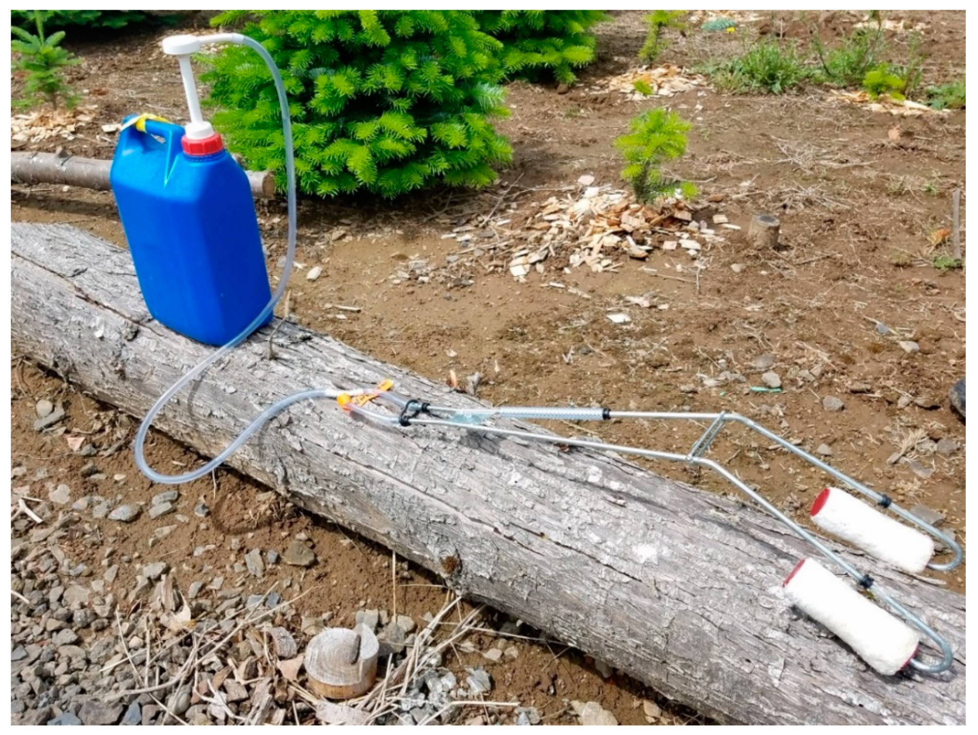 Forests 13 00212 g001 Forests 13 00212 g001