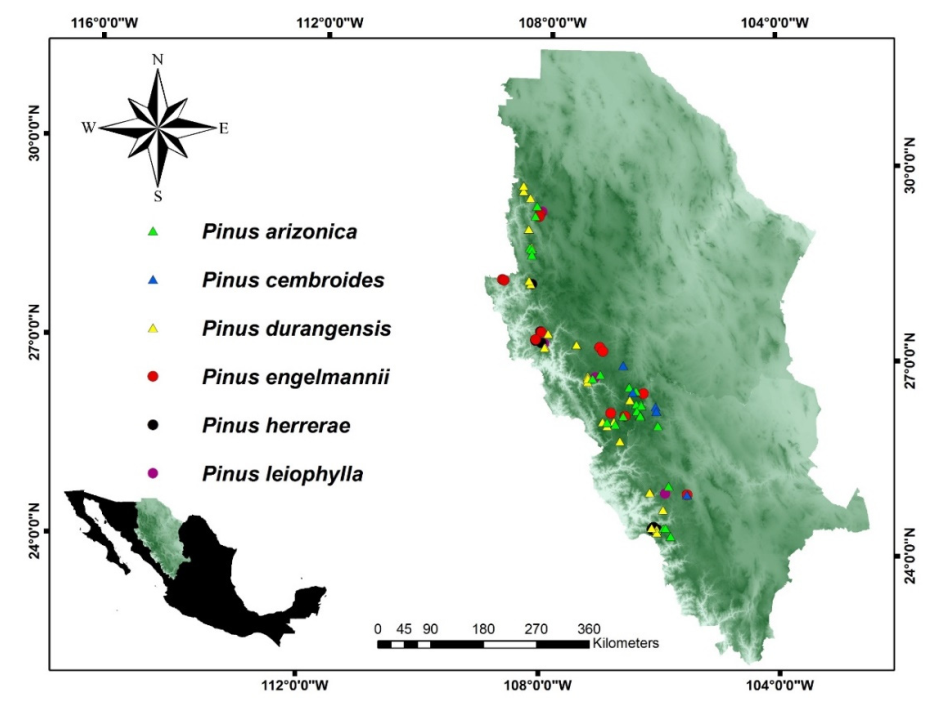 Forests 13 00215 g001