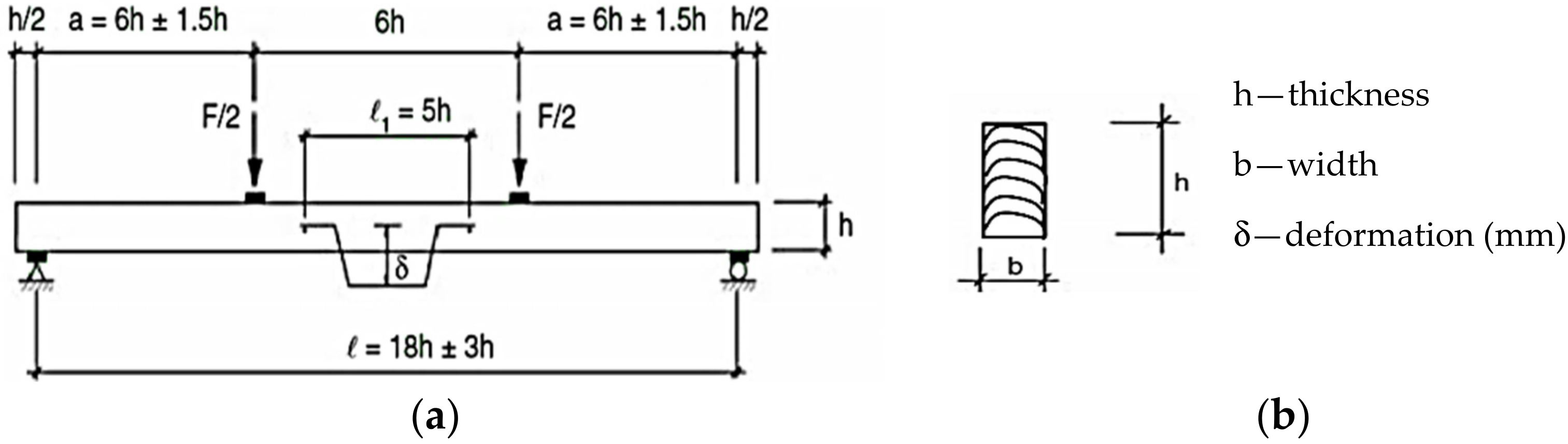 Forests 13 00217 g001