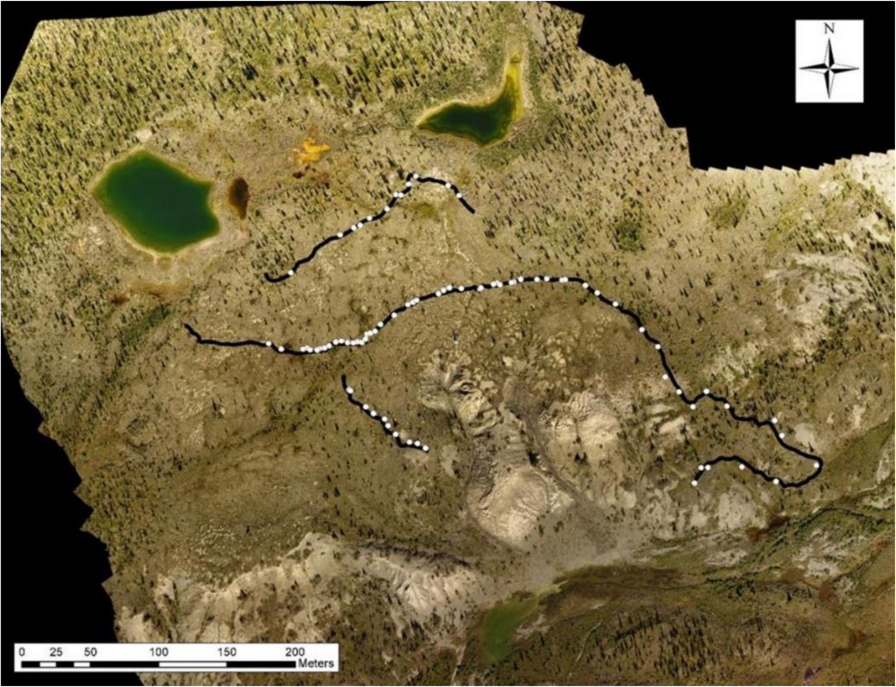 Forests 13 00221 g002