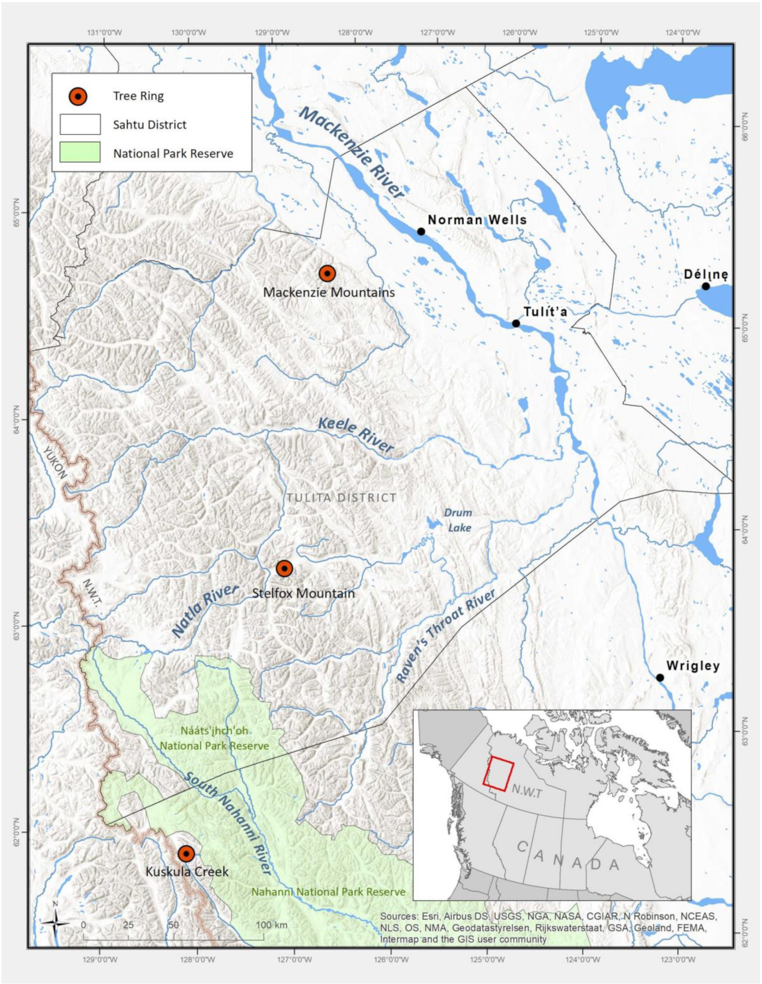 Forests 13 00221 g004