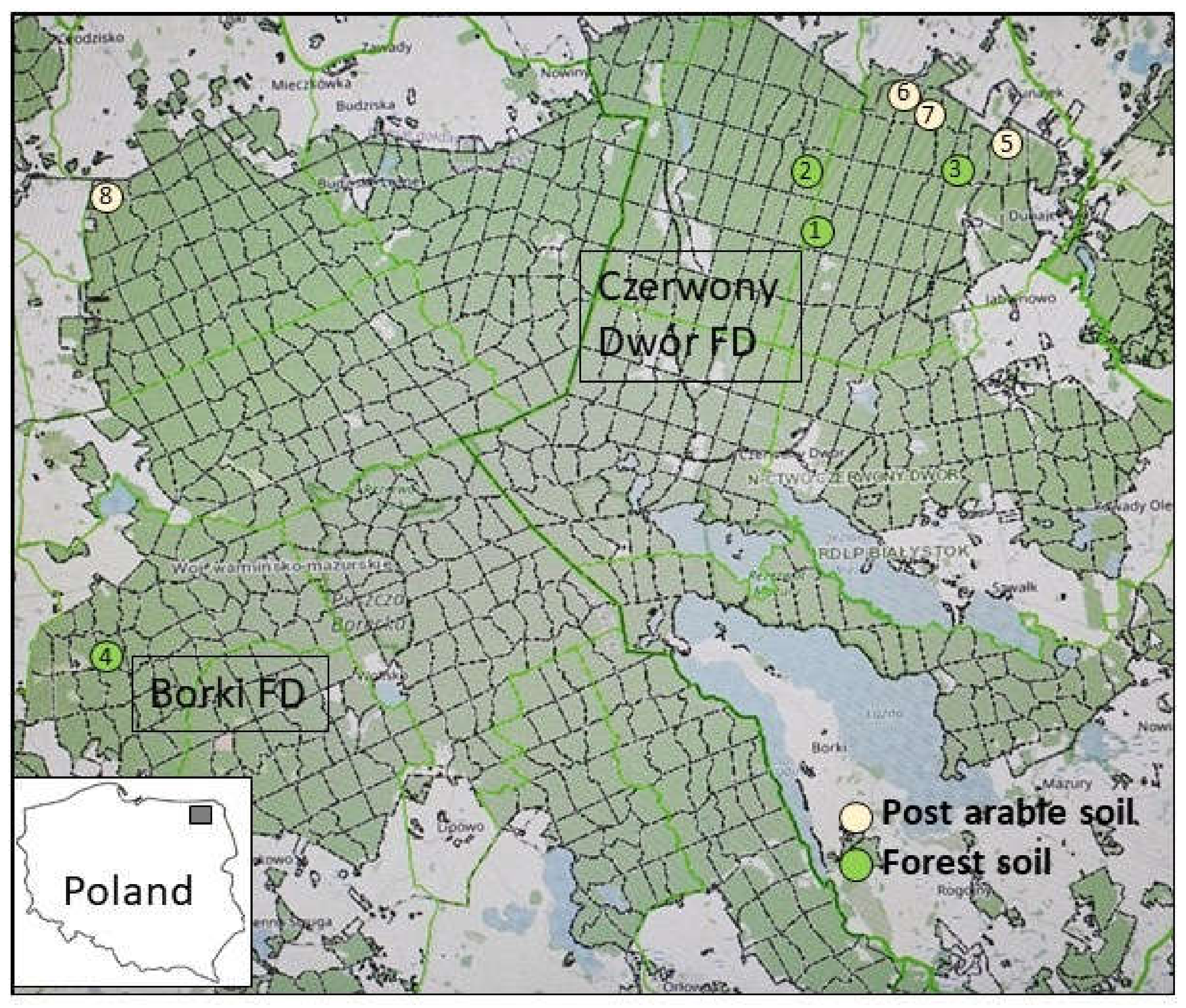 Forests 13 00229 g001