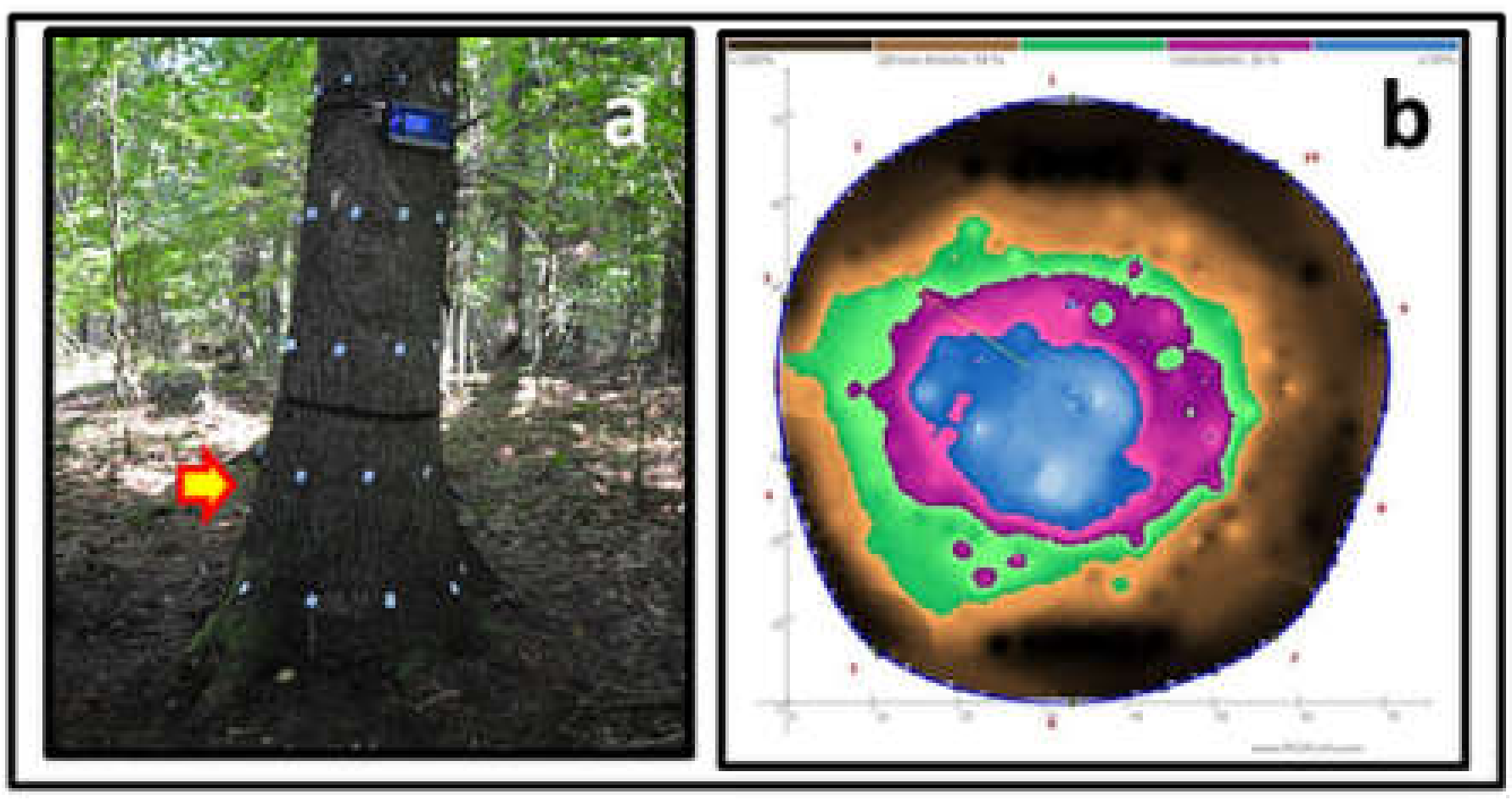 Forests 13 00229 g004