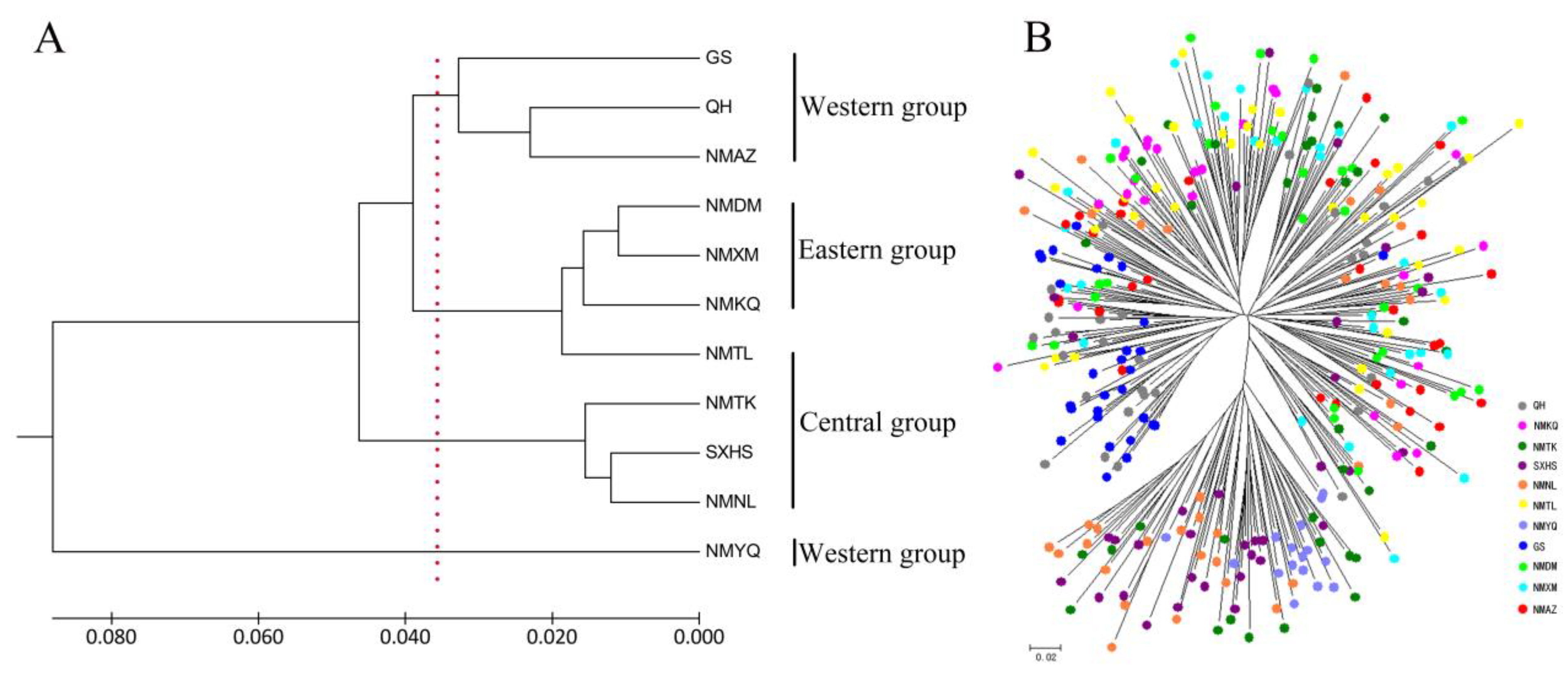 Forests 13 00231 g002 Forests 13 00231 g002