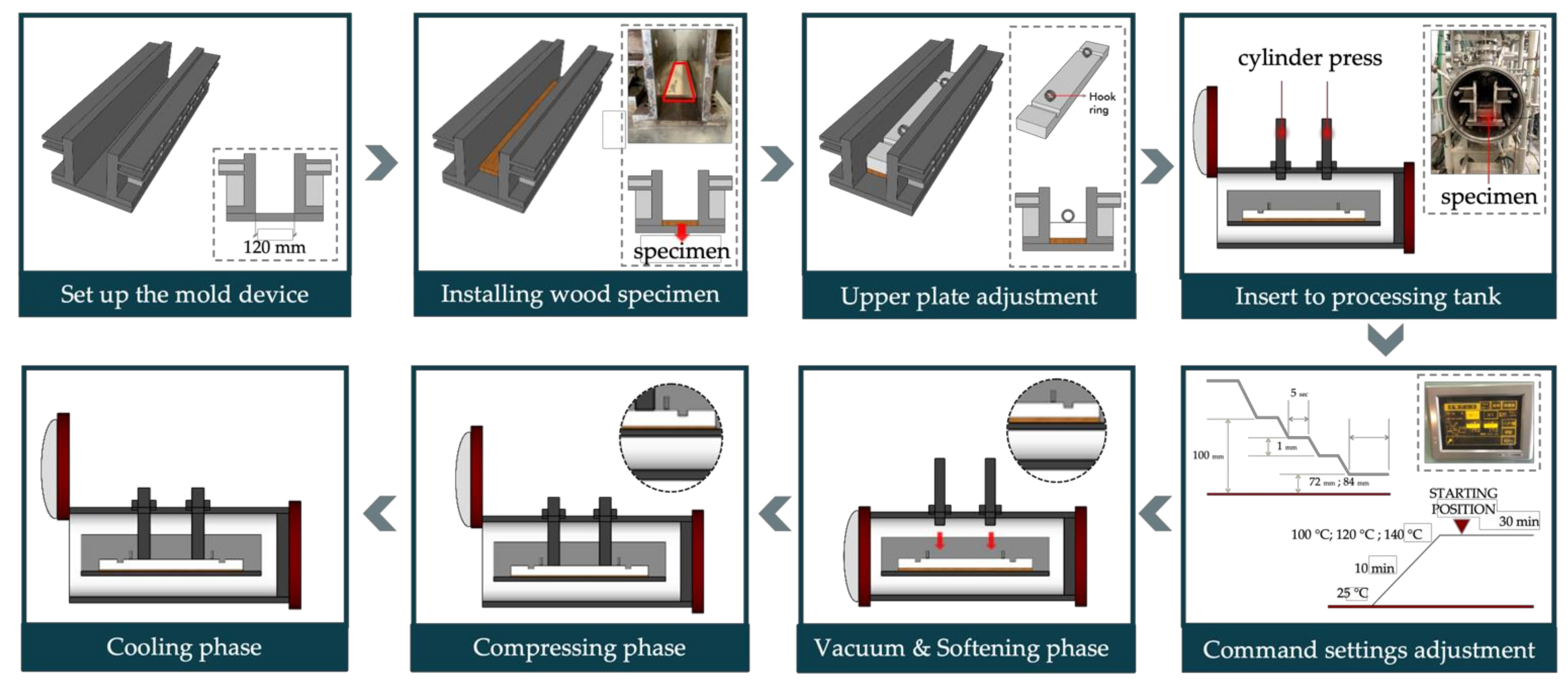 Forests 13 00239 g001