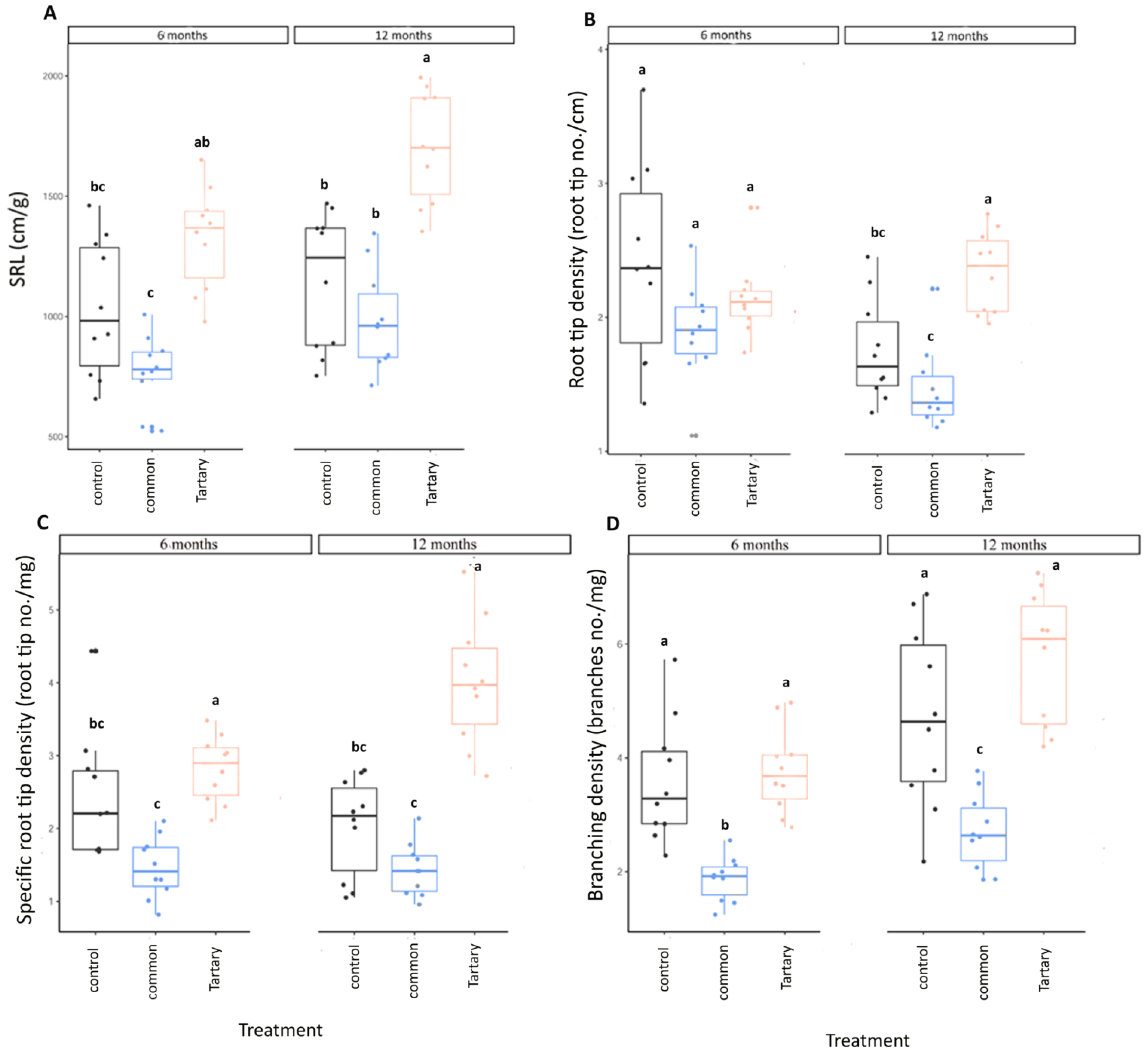 Forests 13 00240 g001