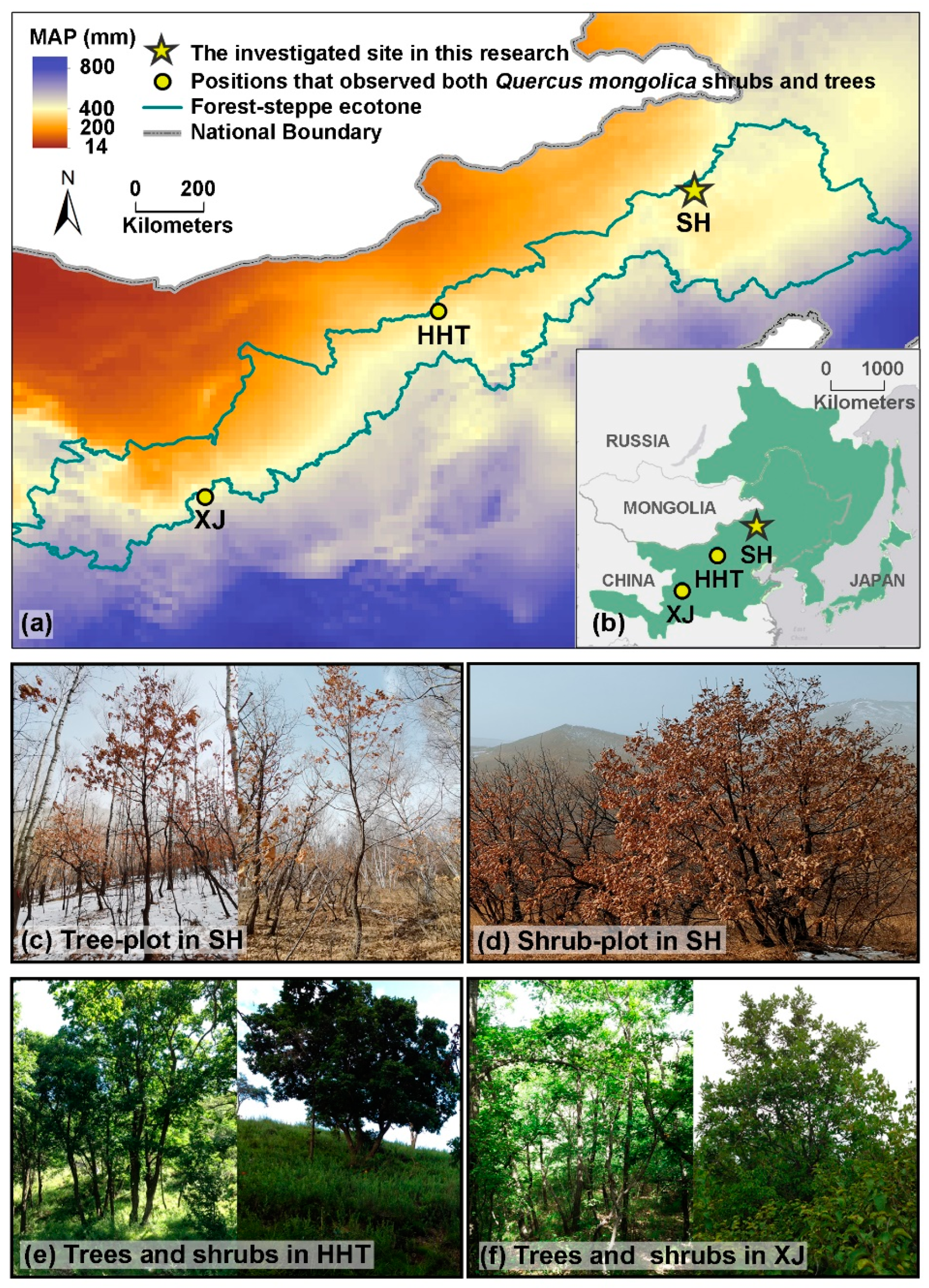 Forests 13 00244 g001