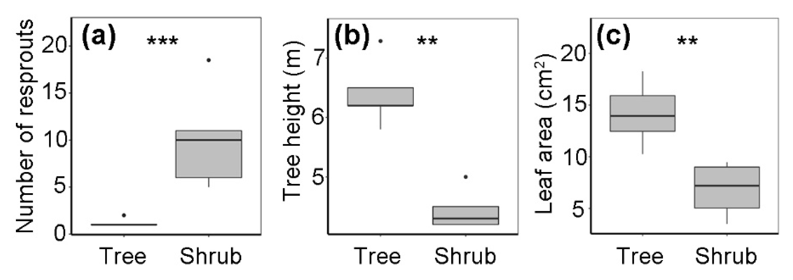 Forests 13 00244 g002
