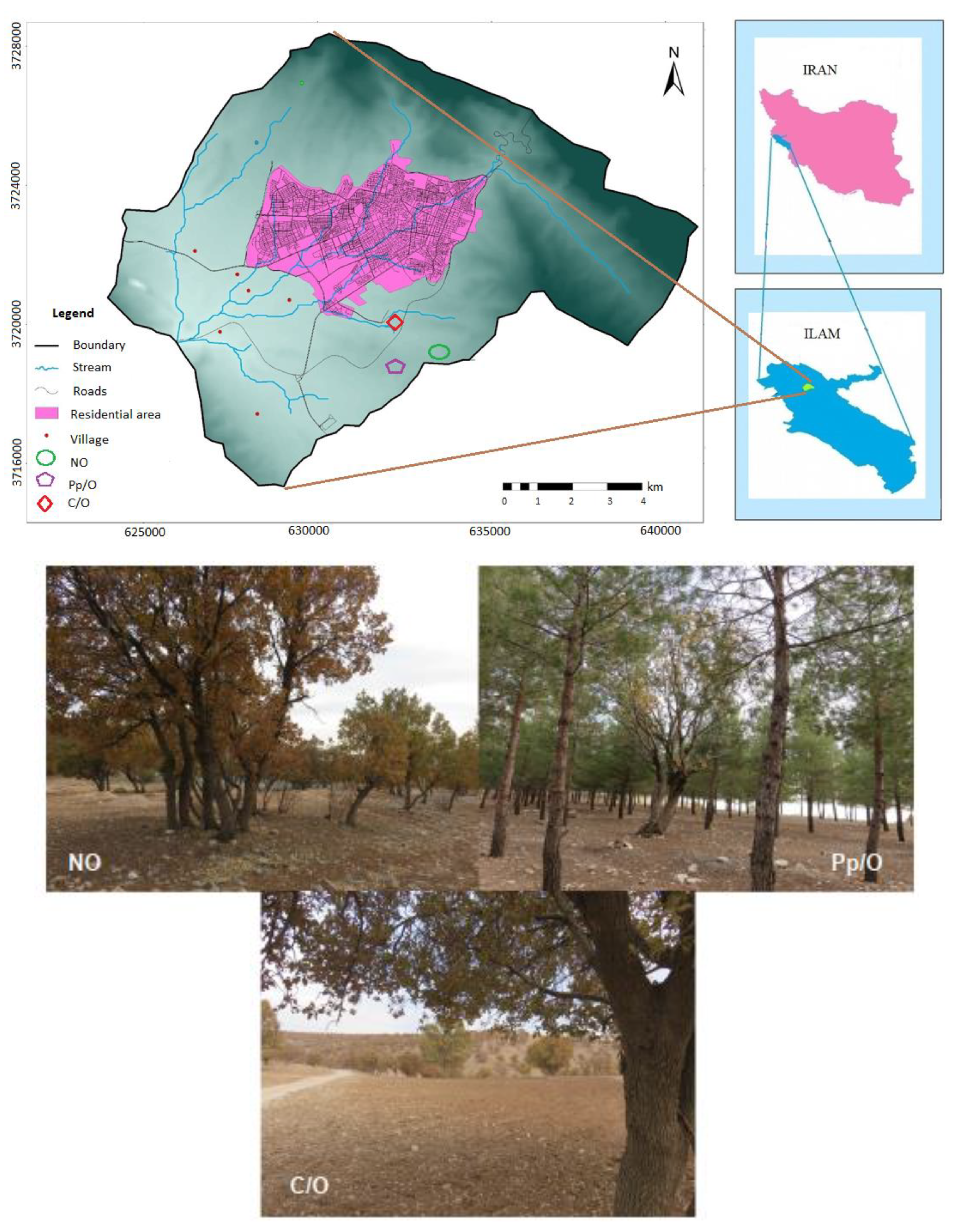 Forests 13 00246 g001
