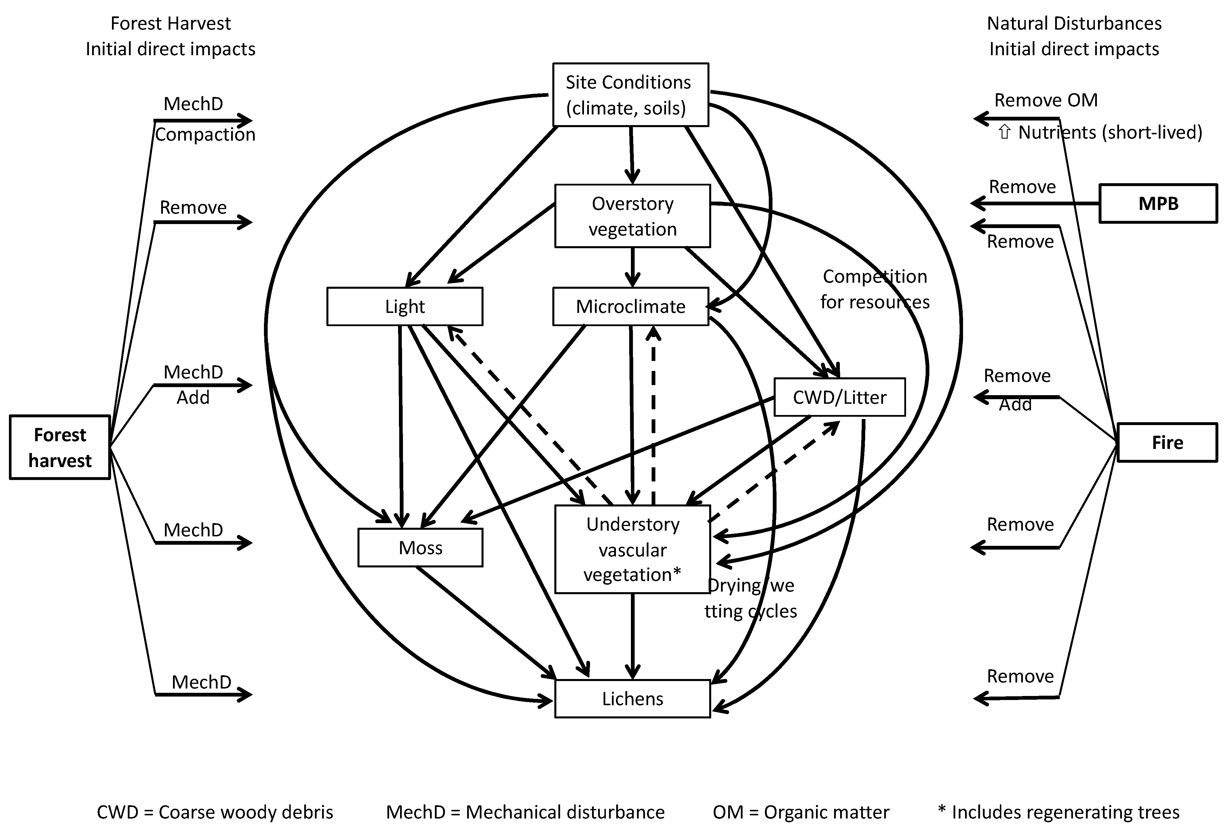 Forests 13 00251 g001