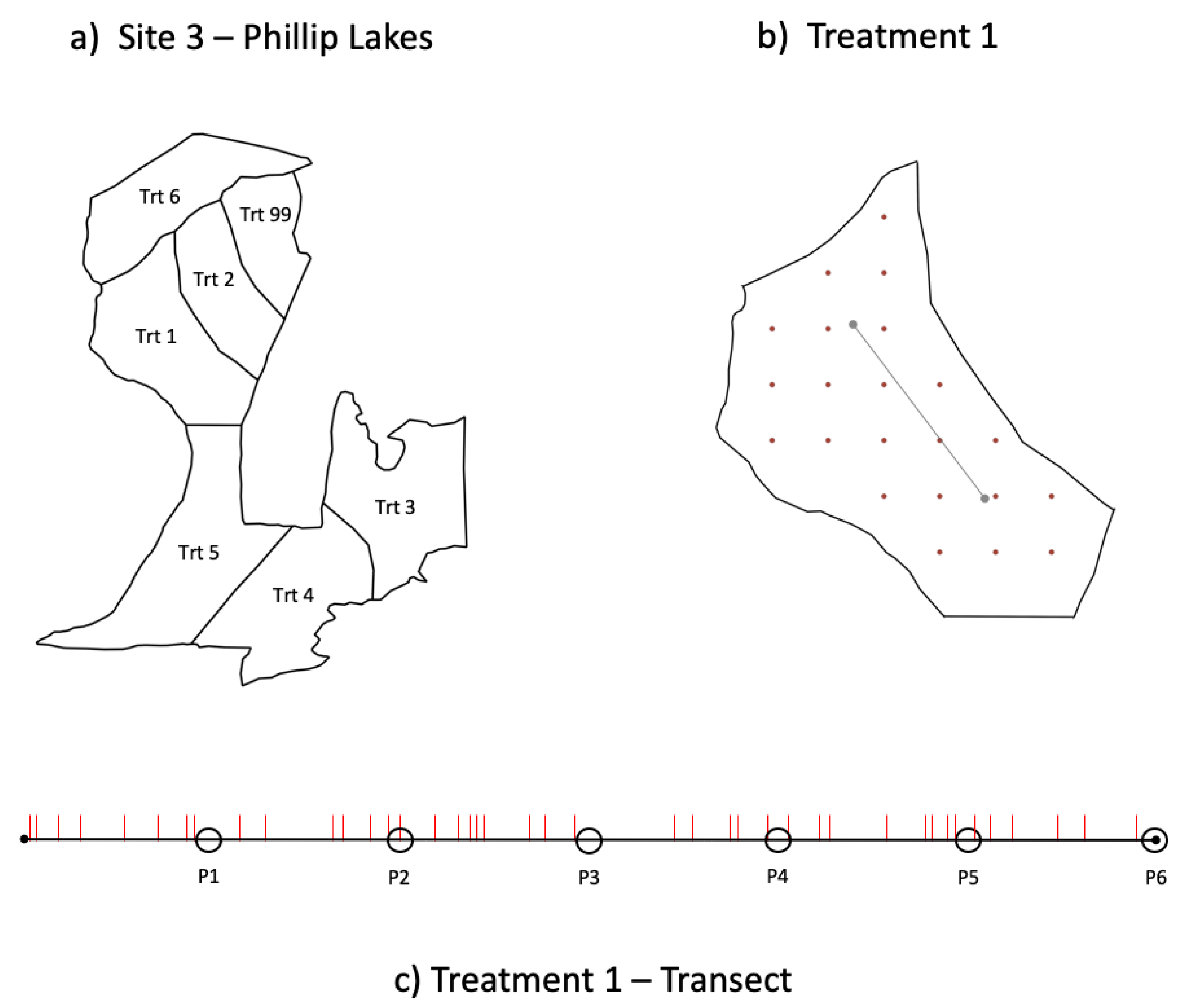 Forests 13 00251 g003