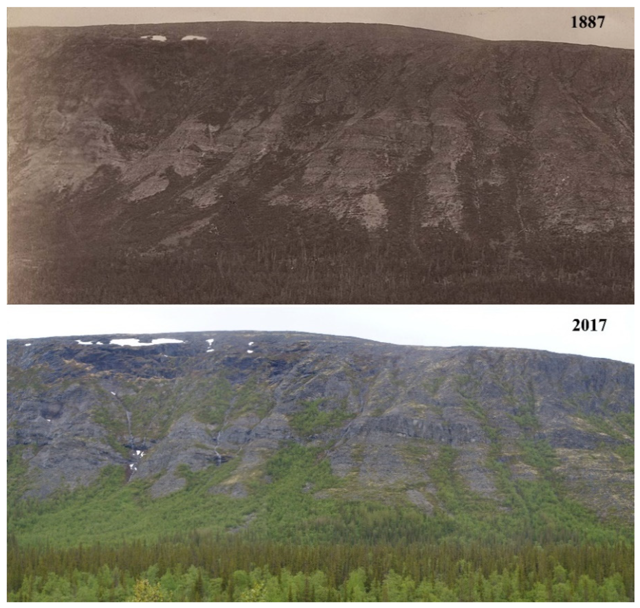 Forests 13 00254 g001