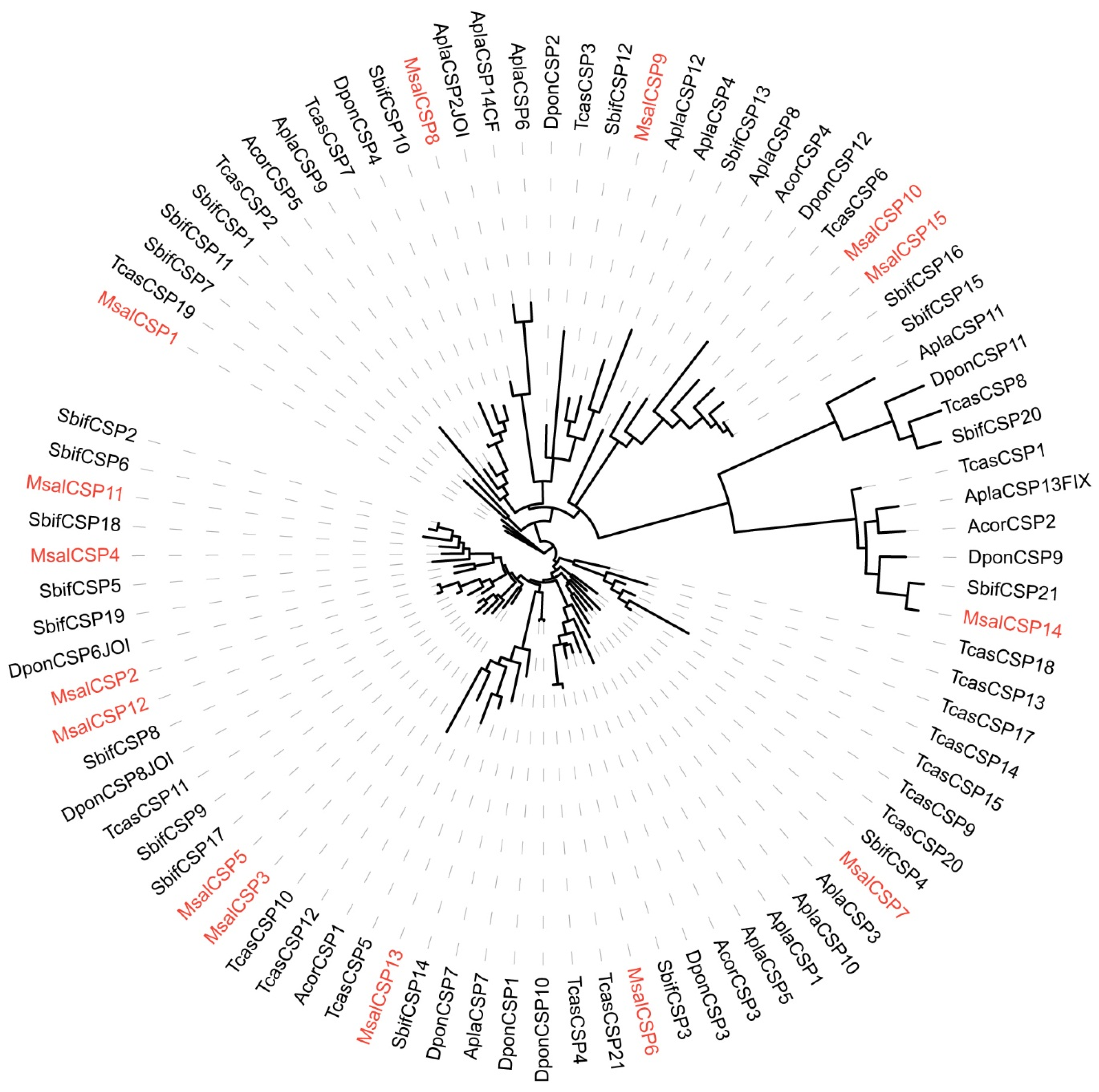 Forests 13 00258 g004