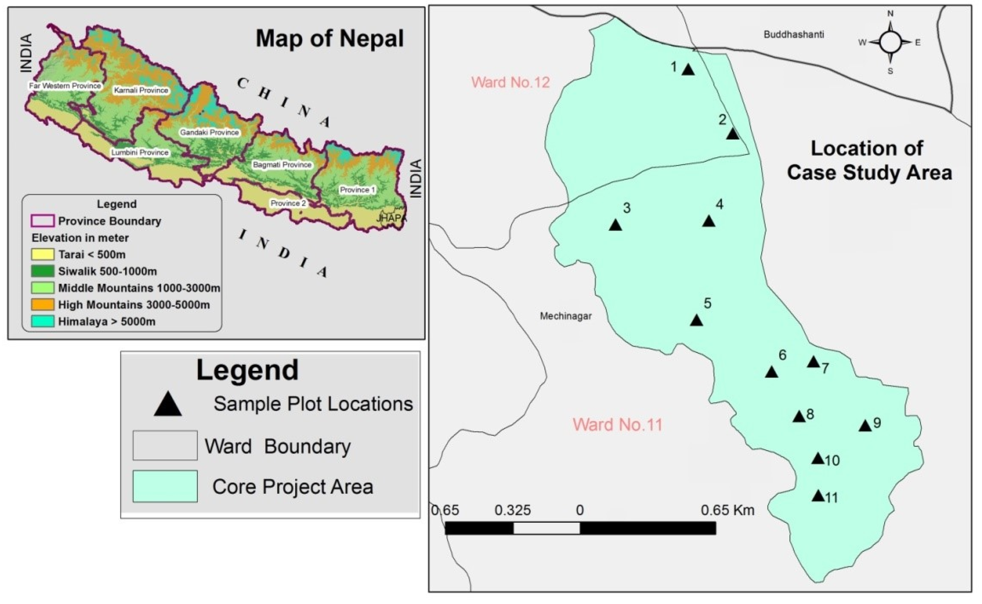 Forests 13 00262 g002