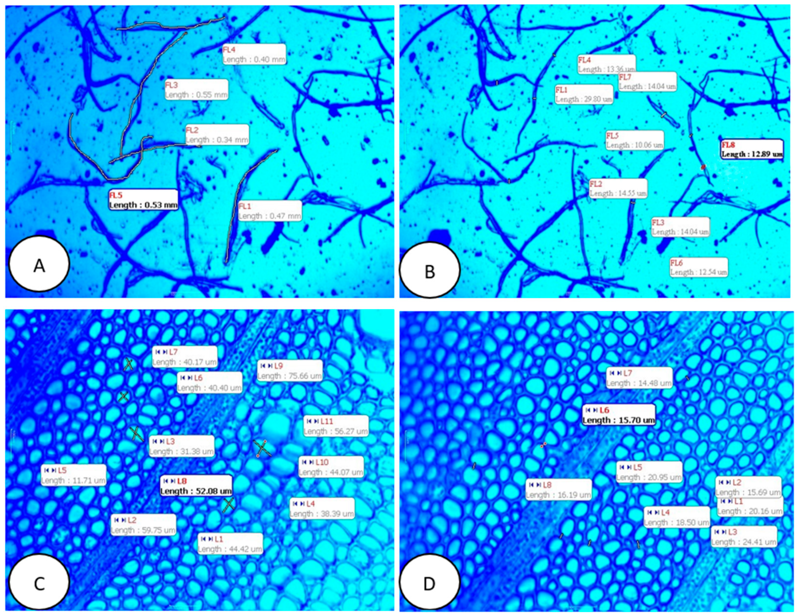 Forests 13 00263 g001